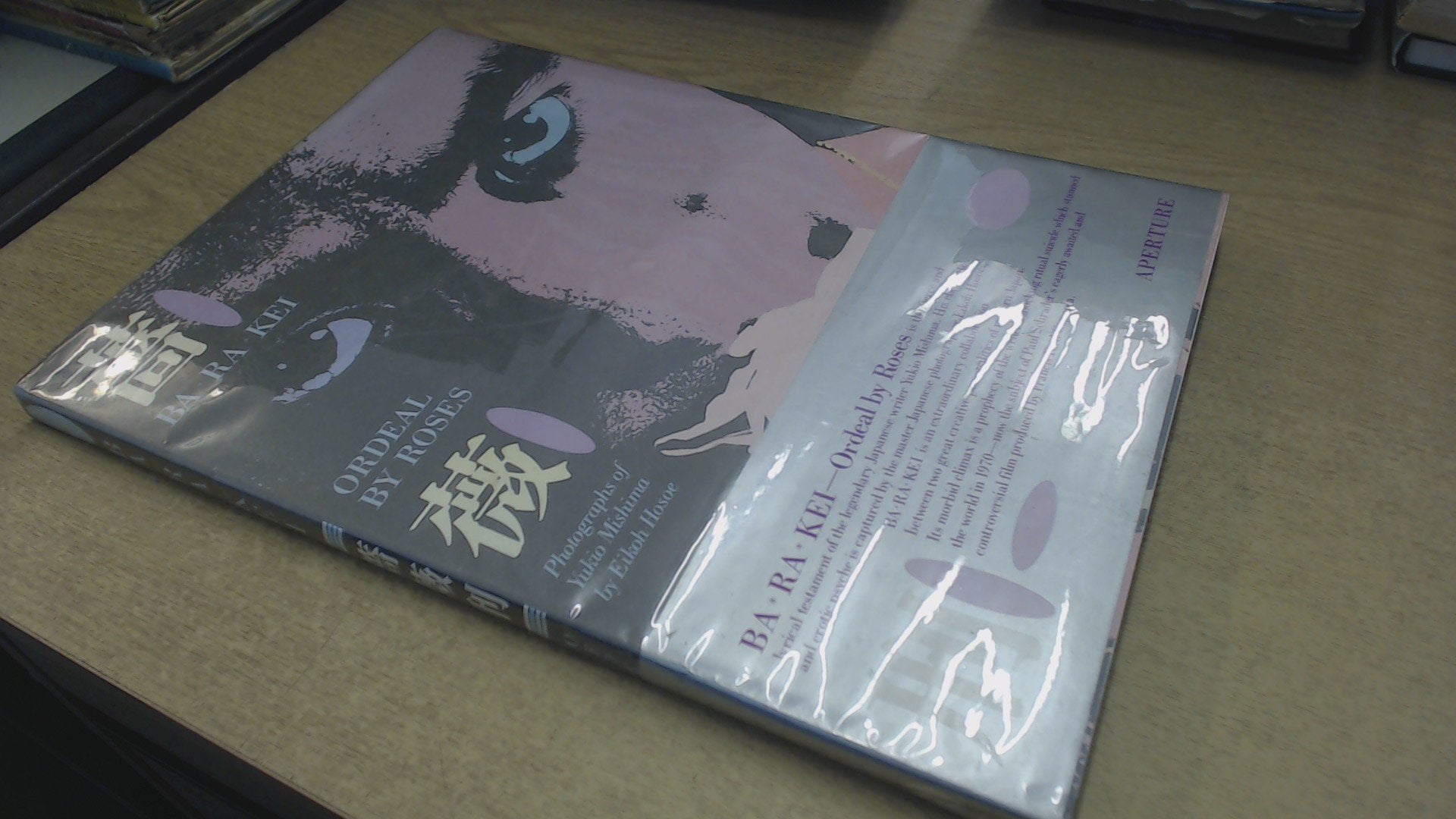 Ba Ra Kei: Ordeal by Roses Contemporary literature
