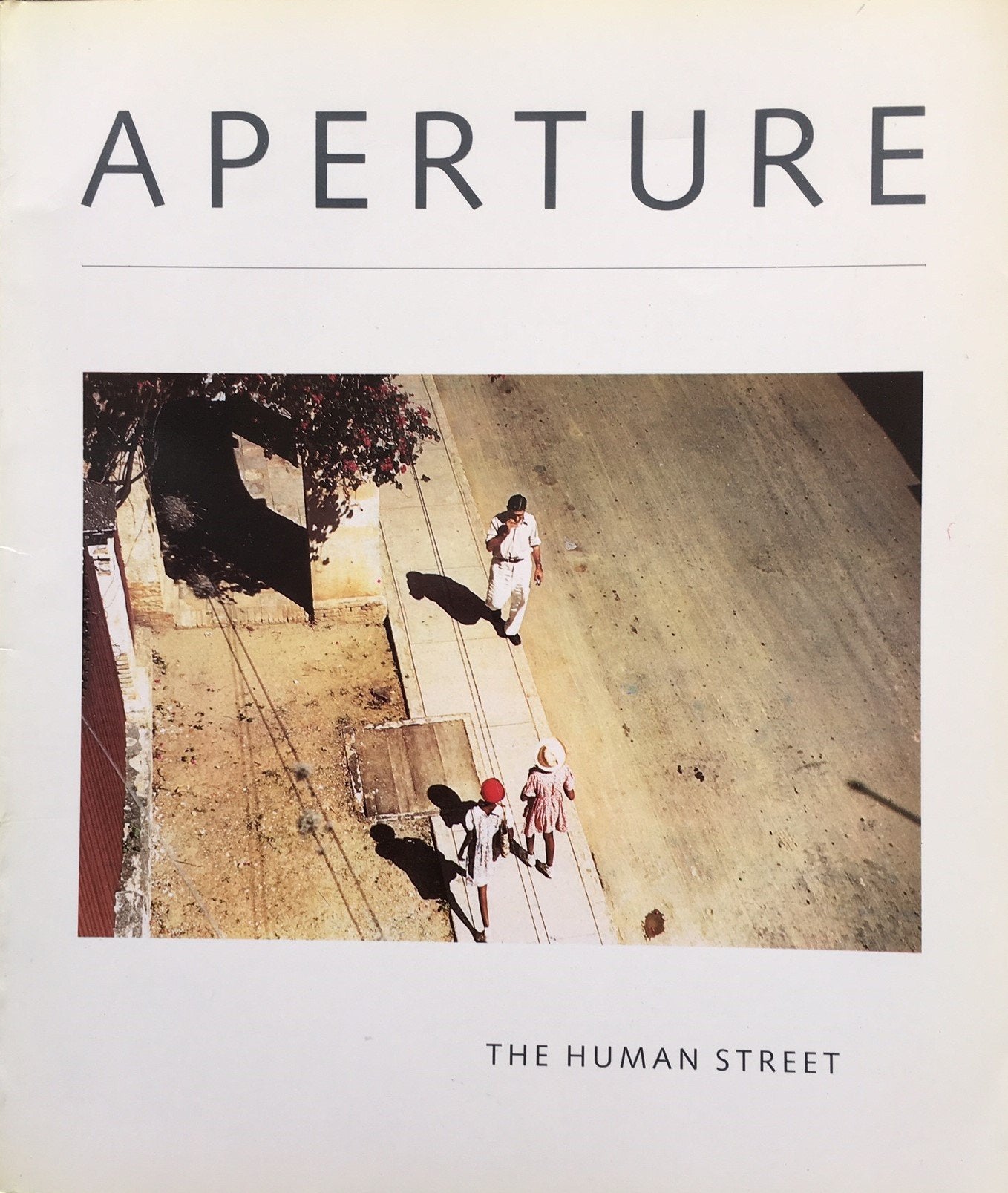 Aperture: The Human Street/Winter 1985 (Aperture 101) Books