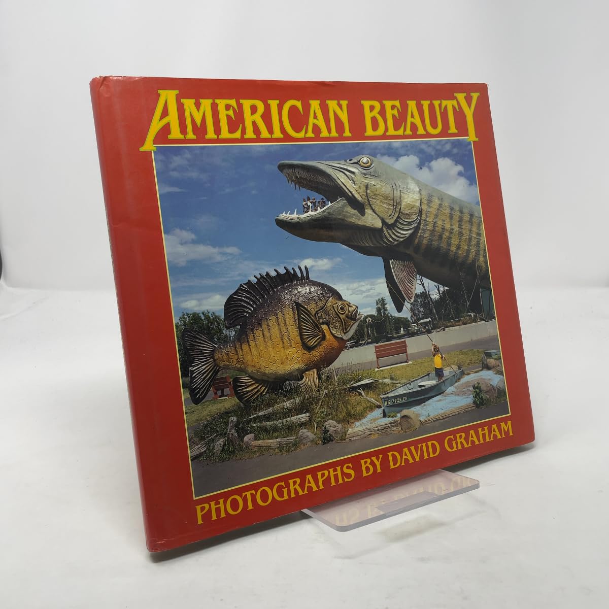 American Beauty (A New Images Book) Travel