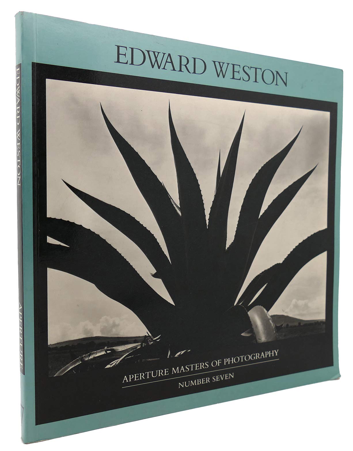 Edward Weston (Masters of Photography 7, Band 7) Travel