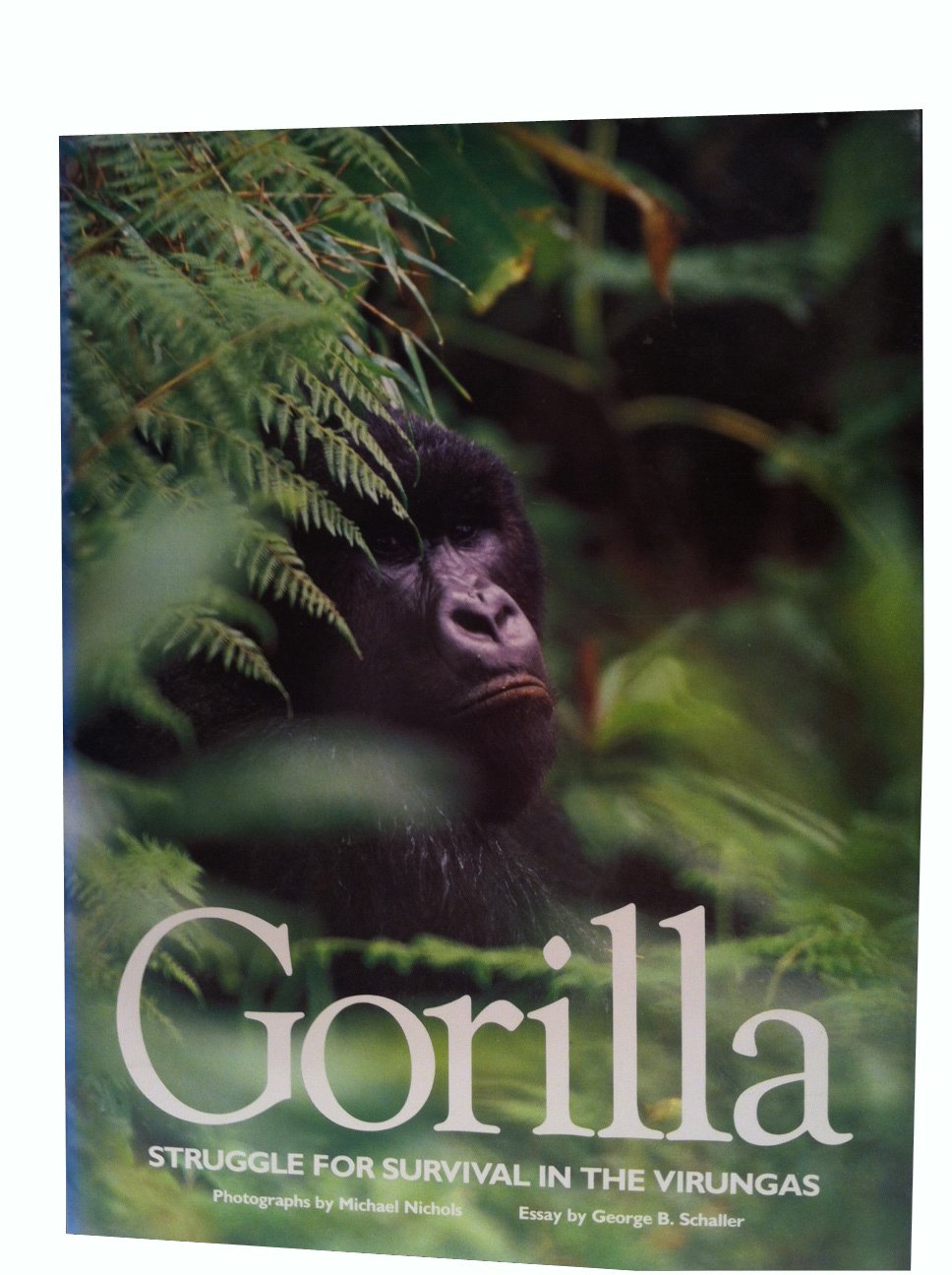 Gorilla: Struggle for Survival in the Virungas Mathematics