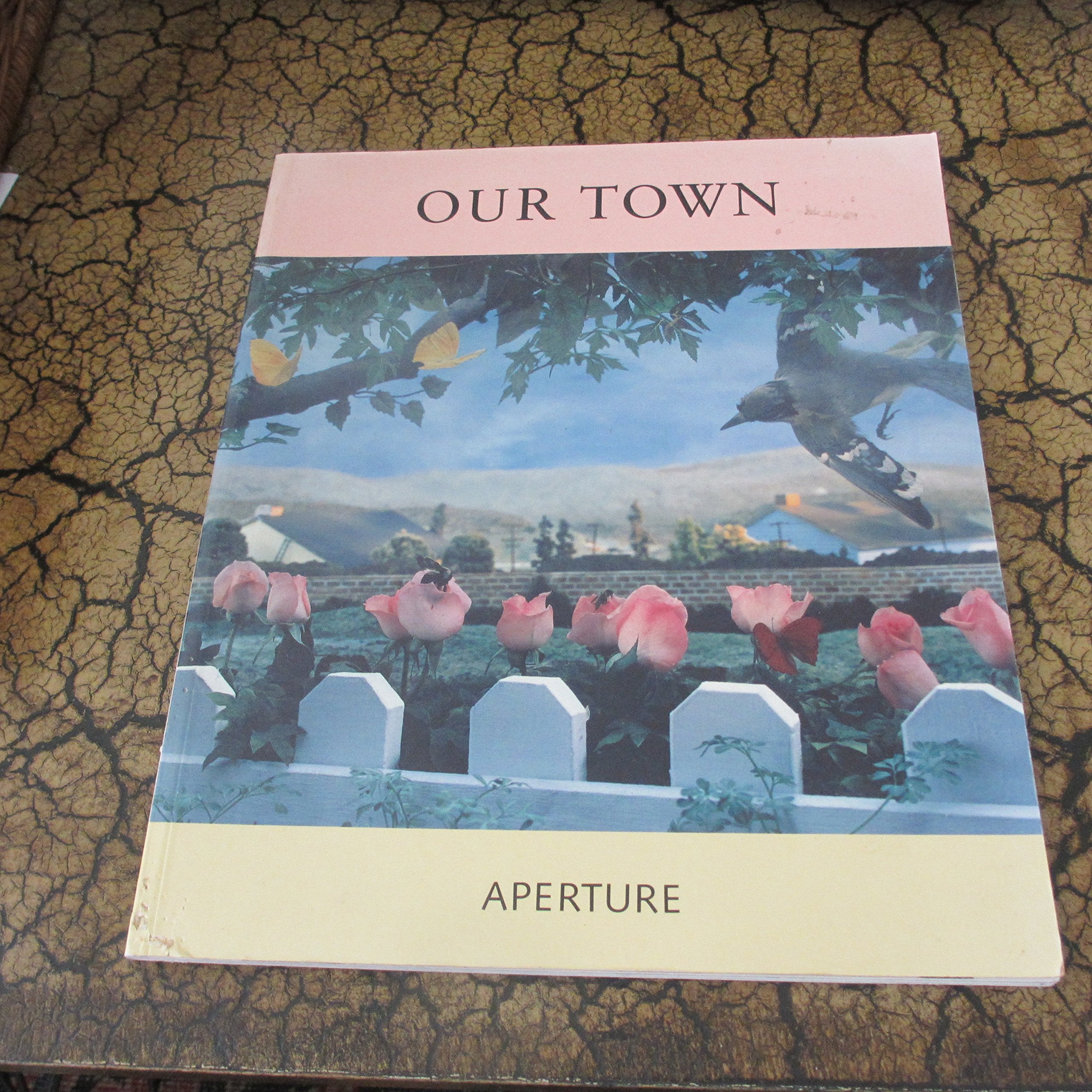 Product Image: Our Town (Aperture)