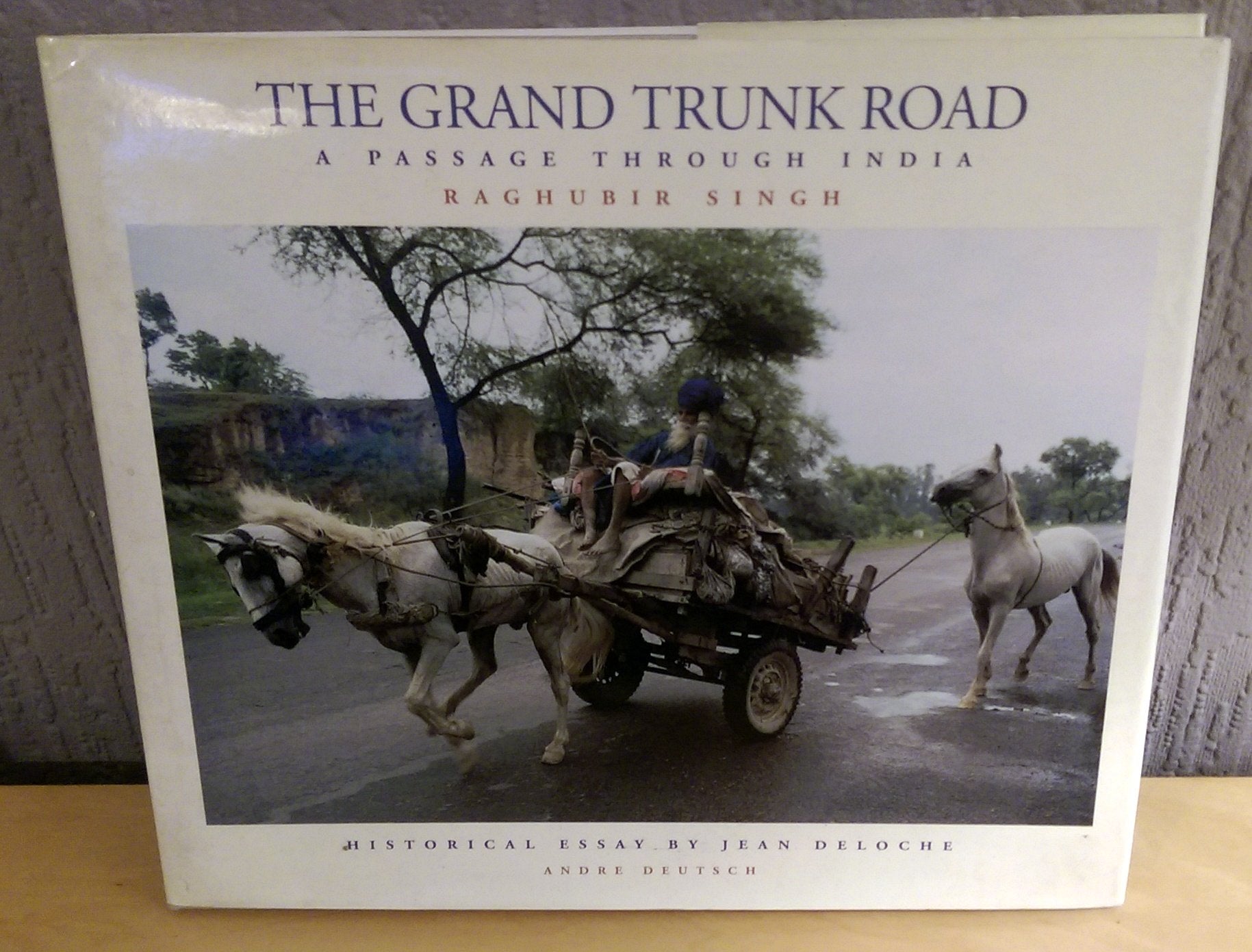 The Grand Trunk Road: A Passage Through India book