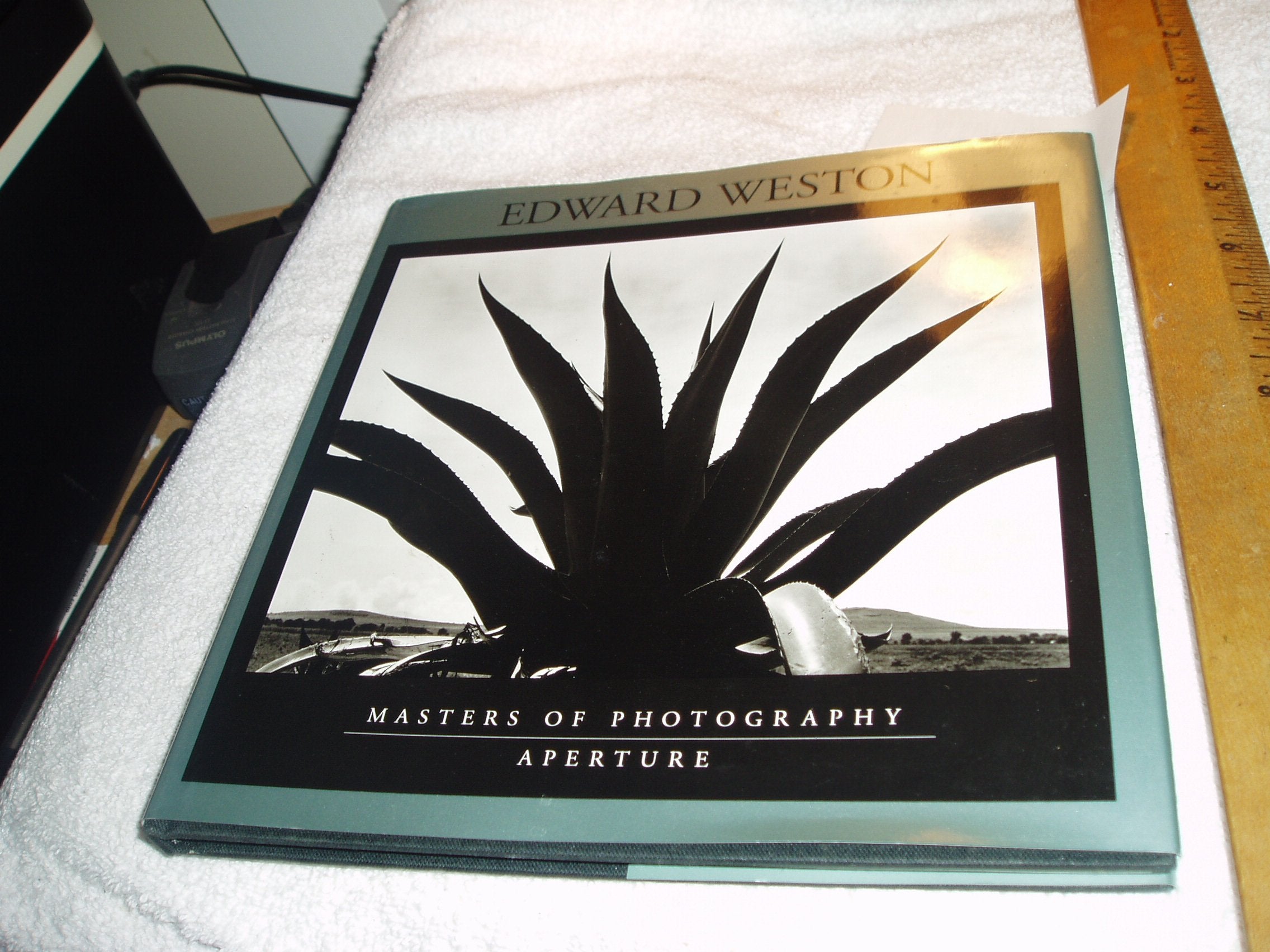 Edward Weston (Masters of Photography Series) Travel