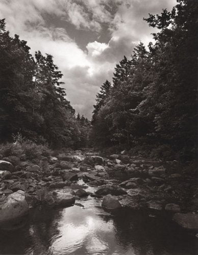 To Save a River: Documenting the Natural History, Restoration, and Preservation of the Ducktrap River Travel