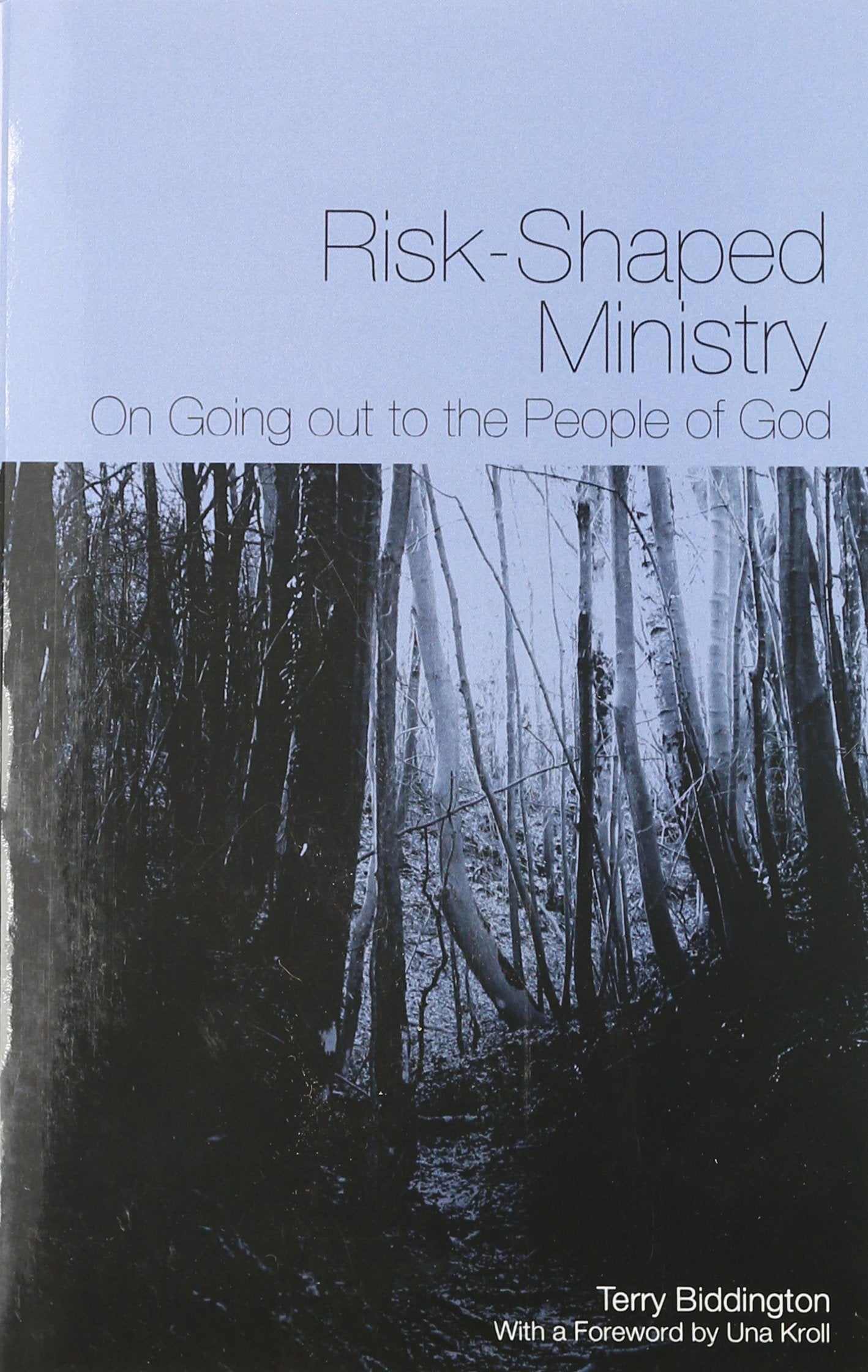 Risk-Shaped Ministry: On Going Out to the People of God Books