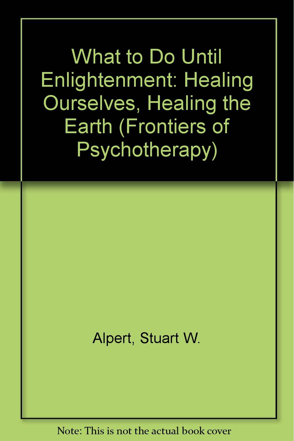 What to Do Until Enlightenment: Healing Ourselves-Healing the Earth (Frontiers in Psychotherapy) Social Sciences