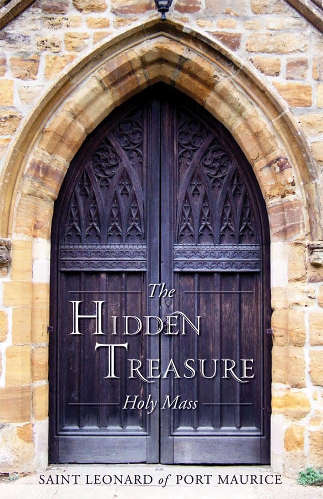 The Hidden Treasure book