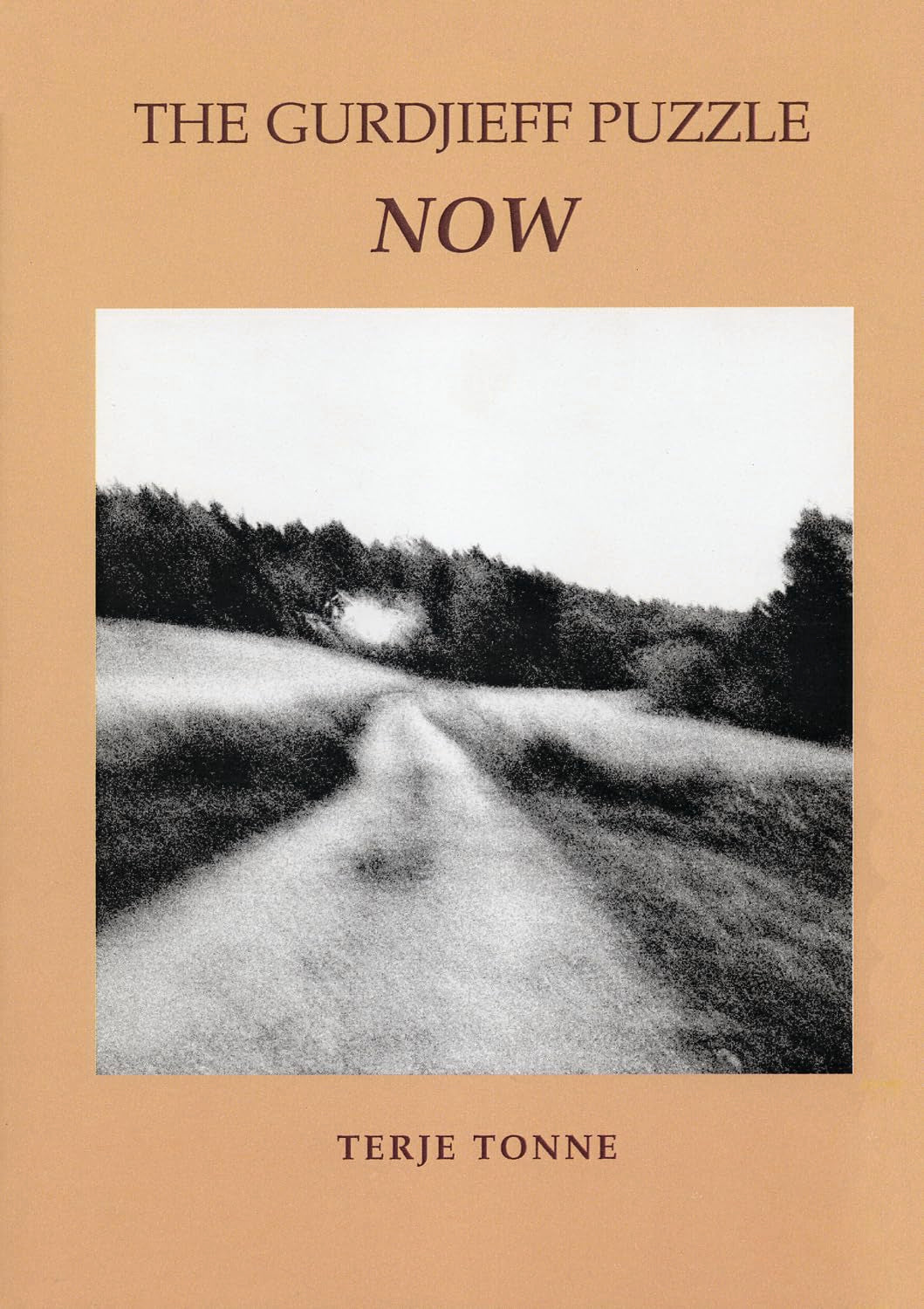 The Gurdjieff Puzzle Now: Talks on Transformation Philosophy
