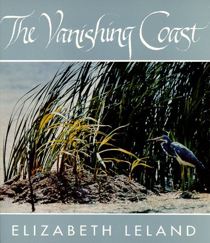 Product Image: The Vanishing Coast