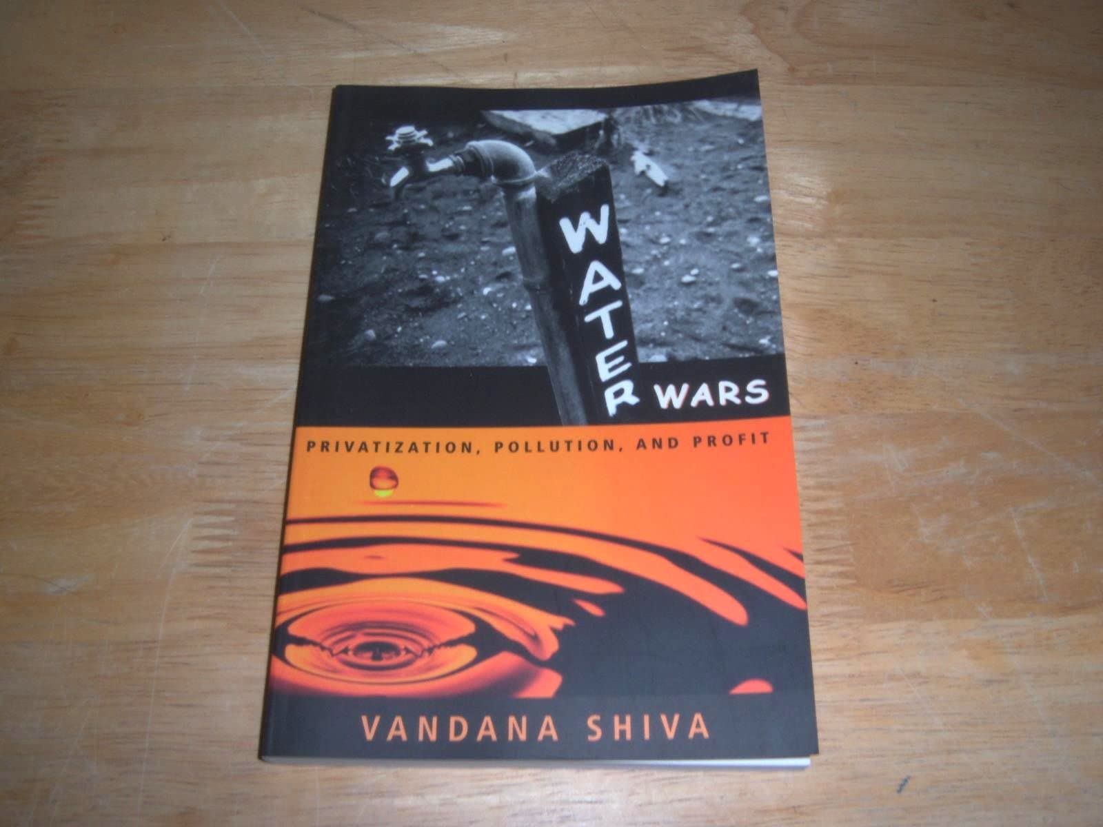 Water Wars: Privatization, Pollution and Profit Mathematics