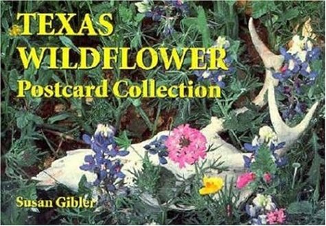 Texas Wildflower Postcard Collection Mathematics