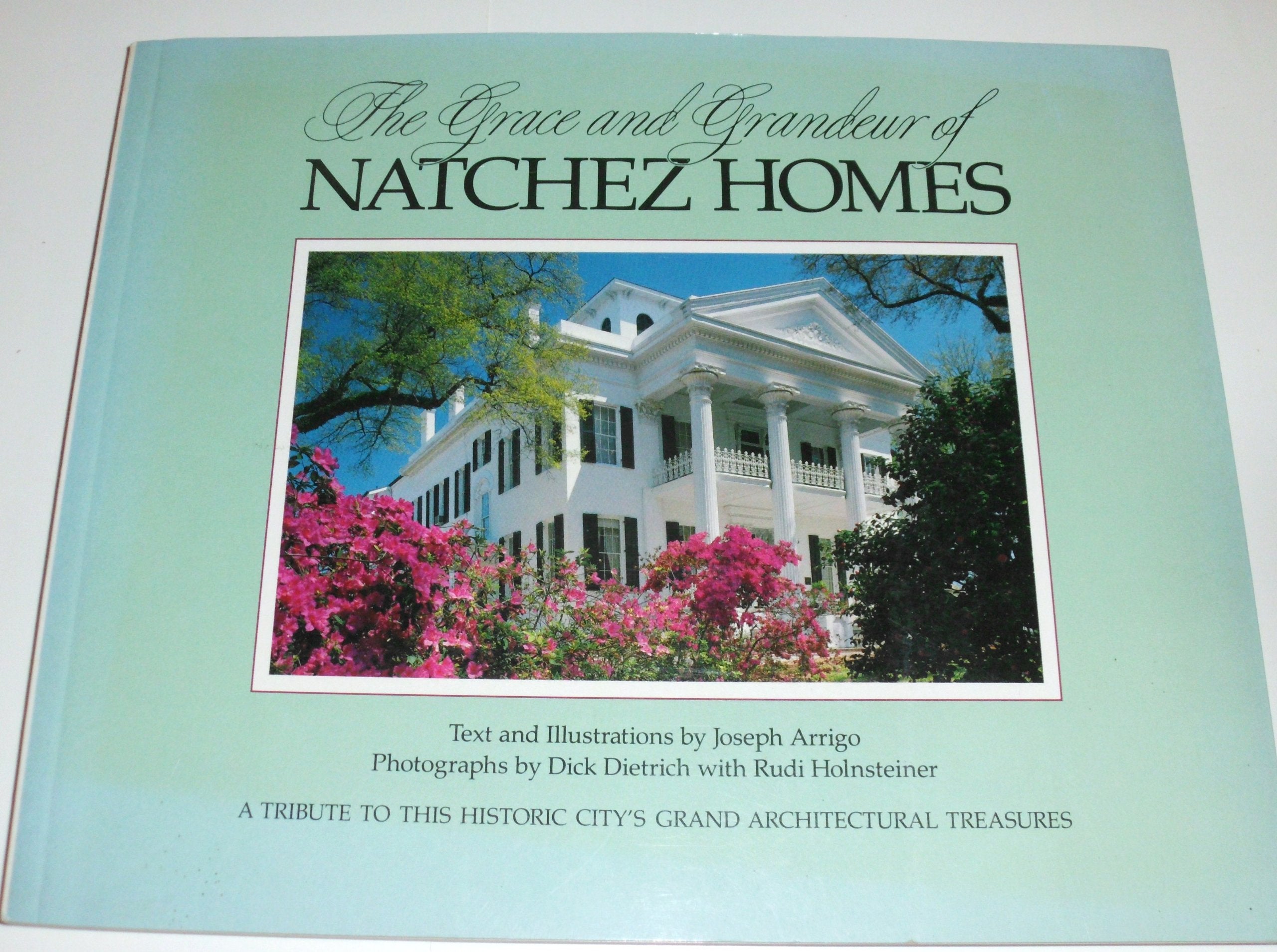 The Grace and Grandeur of Natchez Homes: A Tribute to This City's Grand Architectural Treasures (Pictorial discovery guide) Architecture