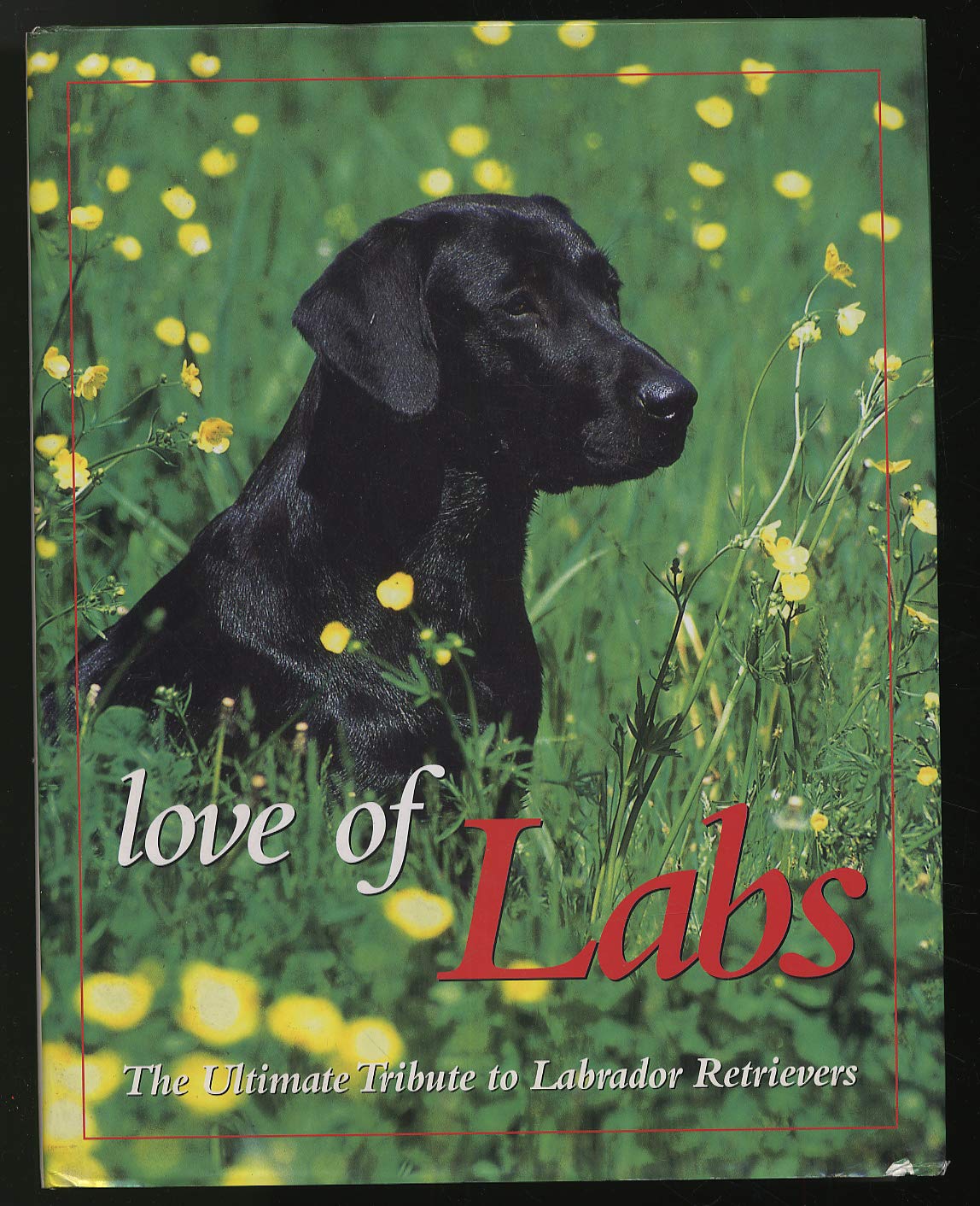 Love of Labs: The Ultimate Tribute to Labrador Retrievers Pets