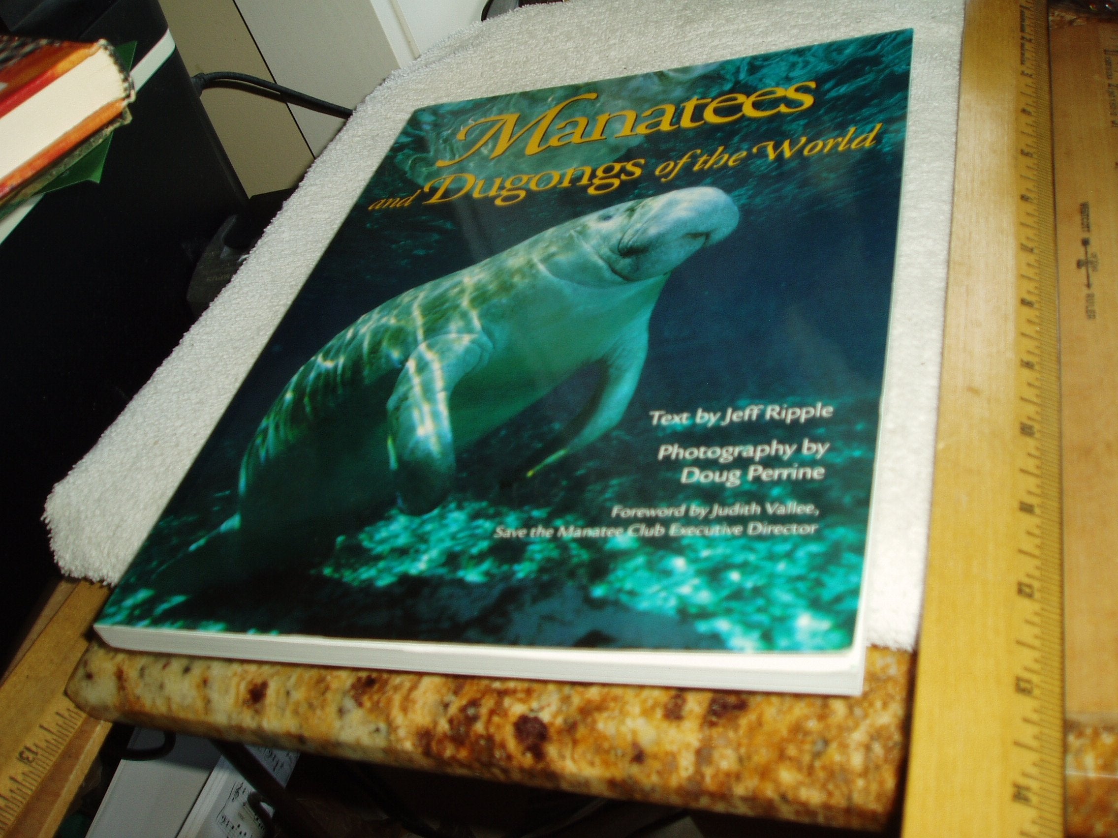 Manatees and Dugongs of the World Mathematics