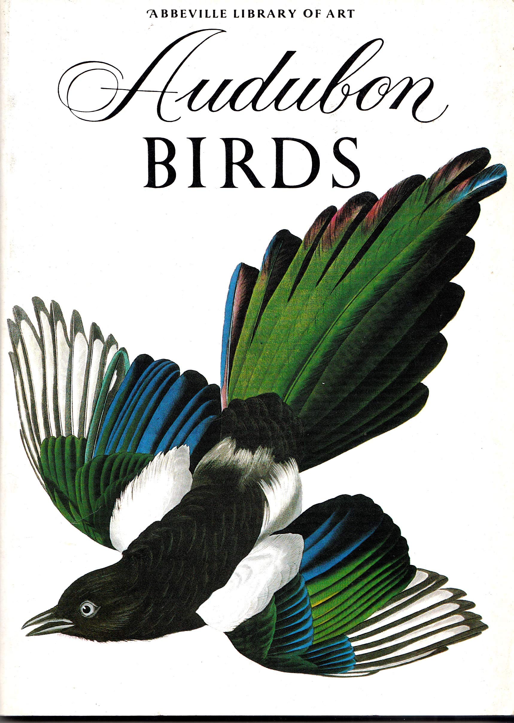 Audubon Birds Library of Art Mathematics