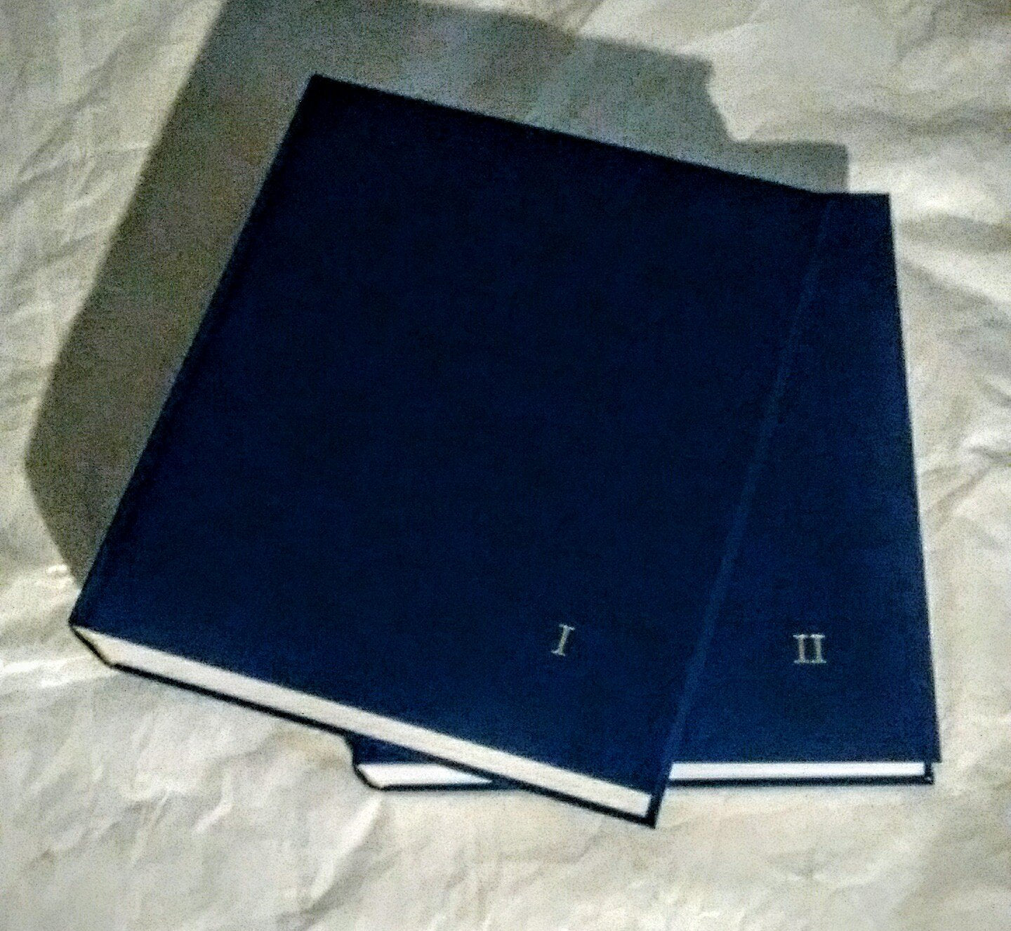 The Art of Florence book
