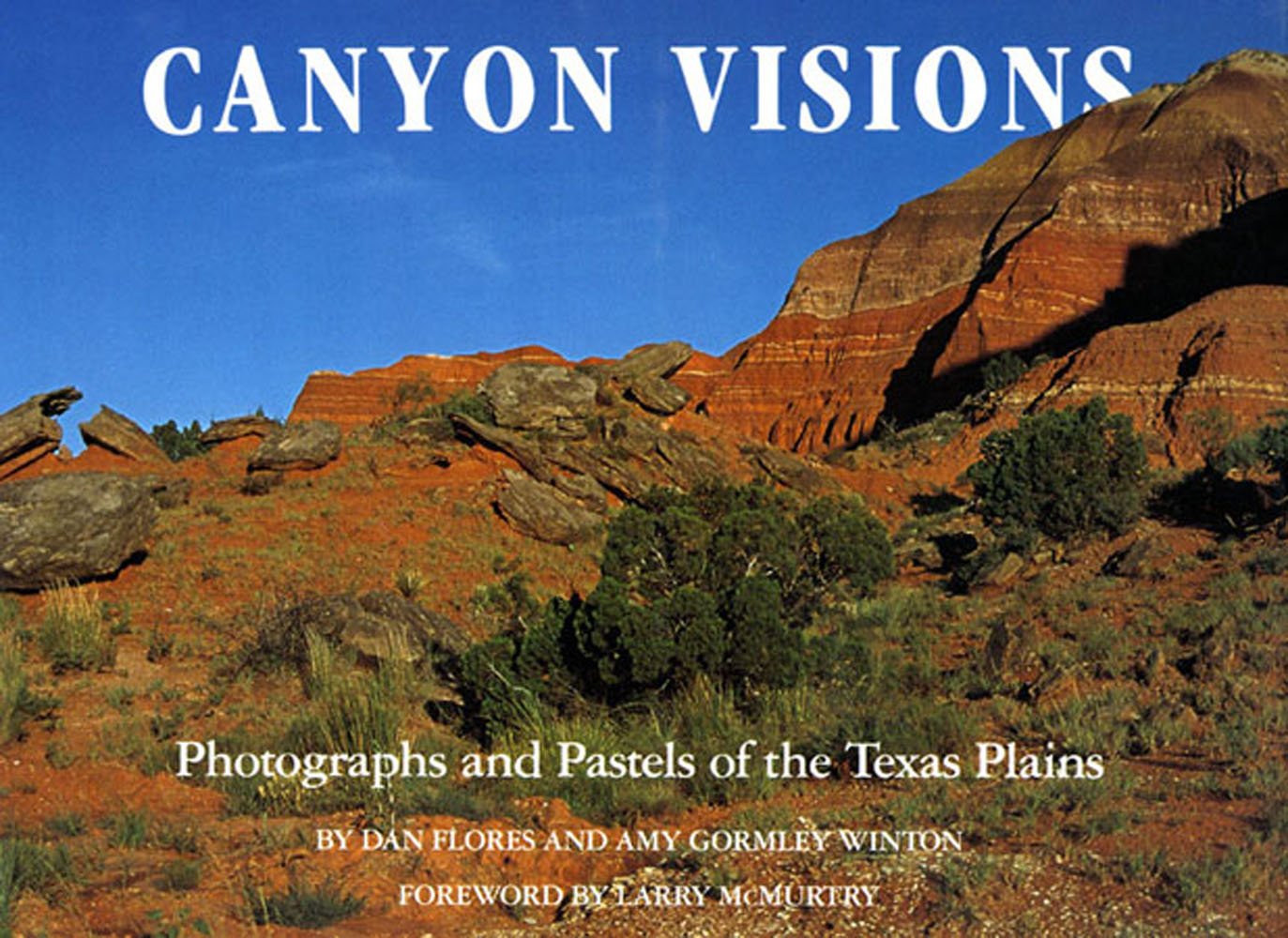 Canyon Visions: Photographs and Pastels of the Texas Plains Travel