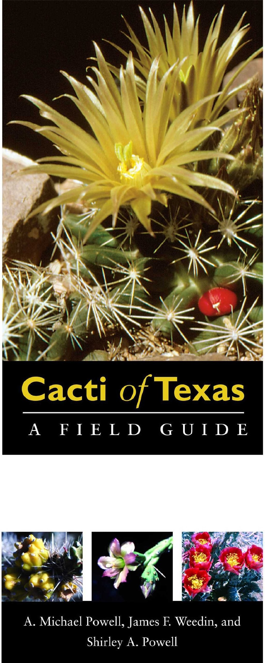 Cacti of Texas: A Field Guide, with Emphasis on the Trans-Pecos Species (Grover E. Murray Studies in the American Southwest) Mathematics