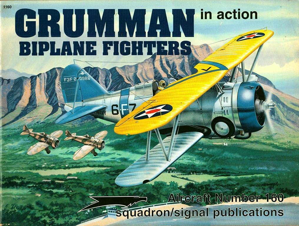 Grumman Biplanes in Action (Aircraft in Action S.) Social Sciences