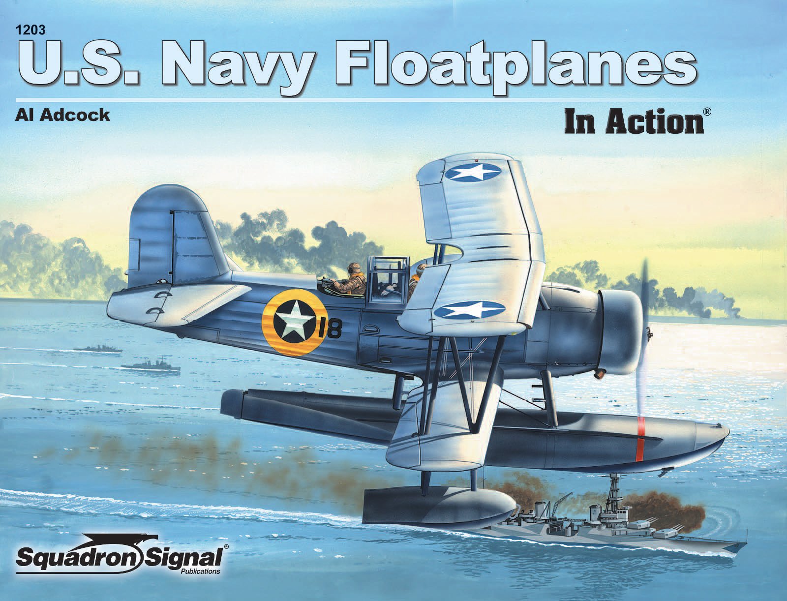 Us Navy Floatplanes in Action Politics & History books