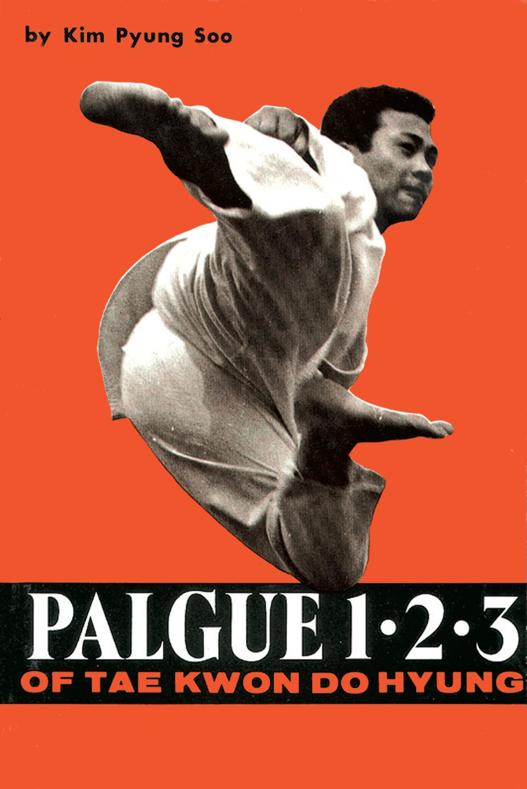Palgue 1-2-3 of Tae Kwon Do Hyung book
