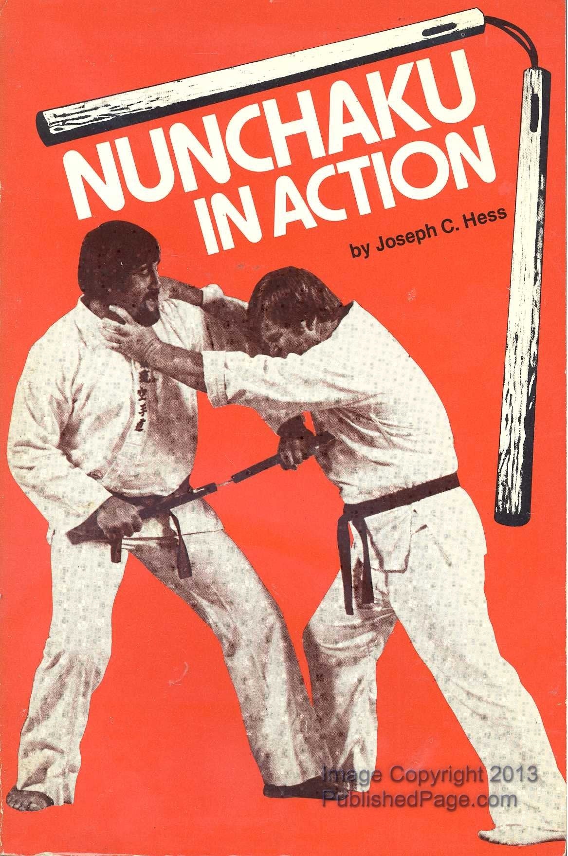 Nunchaku in Action for Kobudo and Law Enforcement Leisure & Fun
