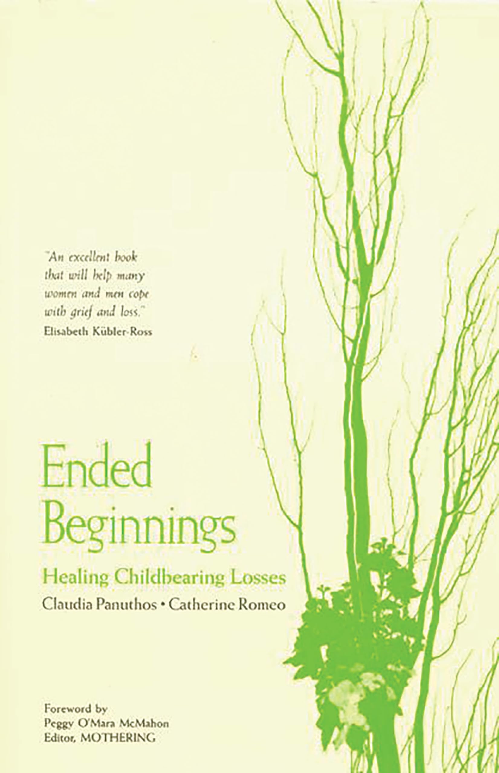 Ended Beginnings: Healing Childbearing Losses Medicine