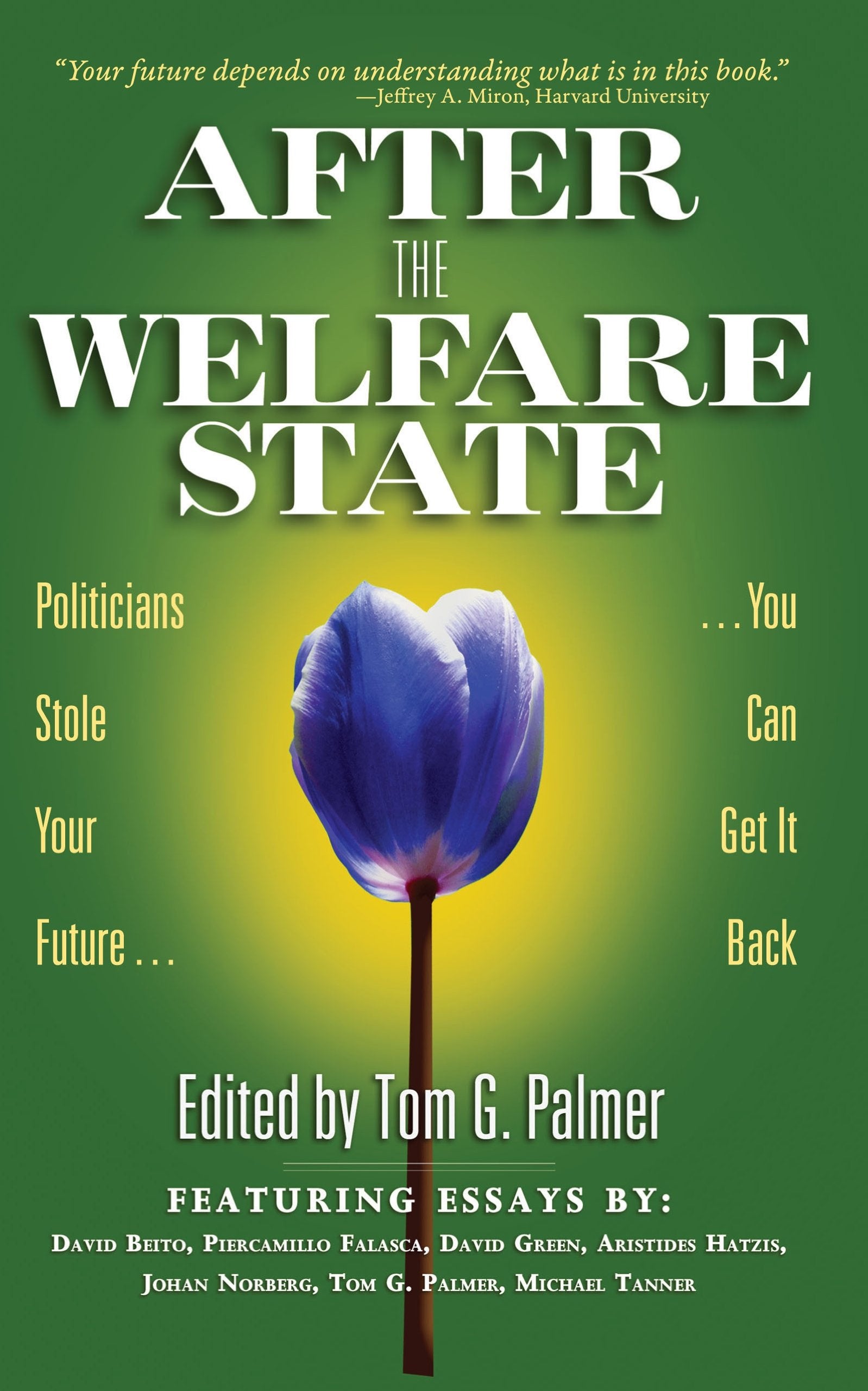 After the Welfare State: Politicians Stole Your Future, You Can Get It Back Books