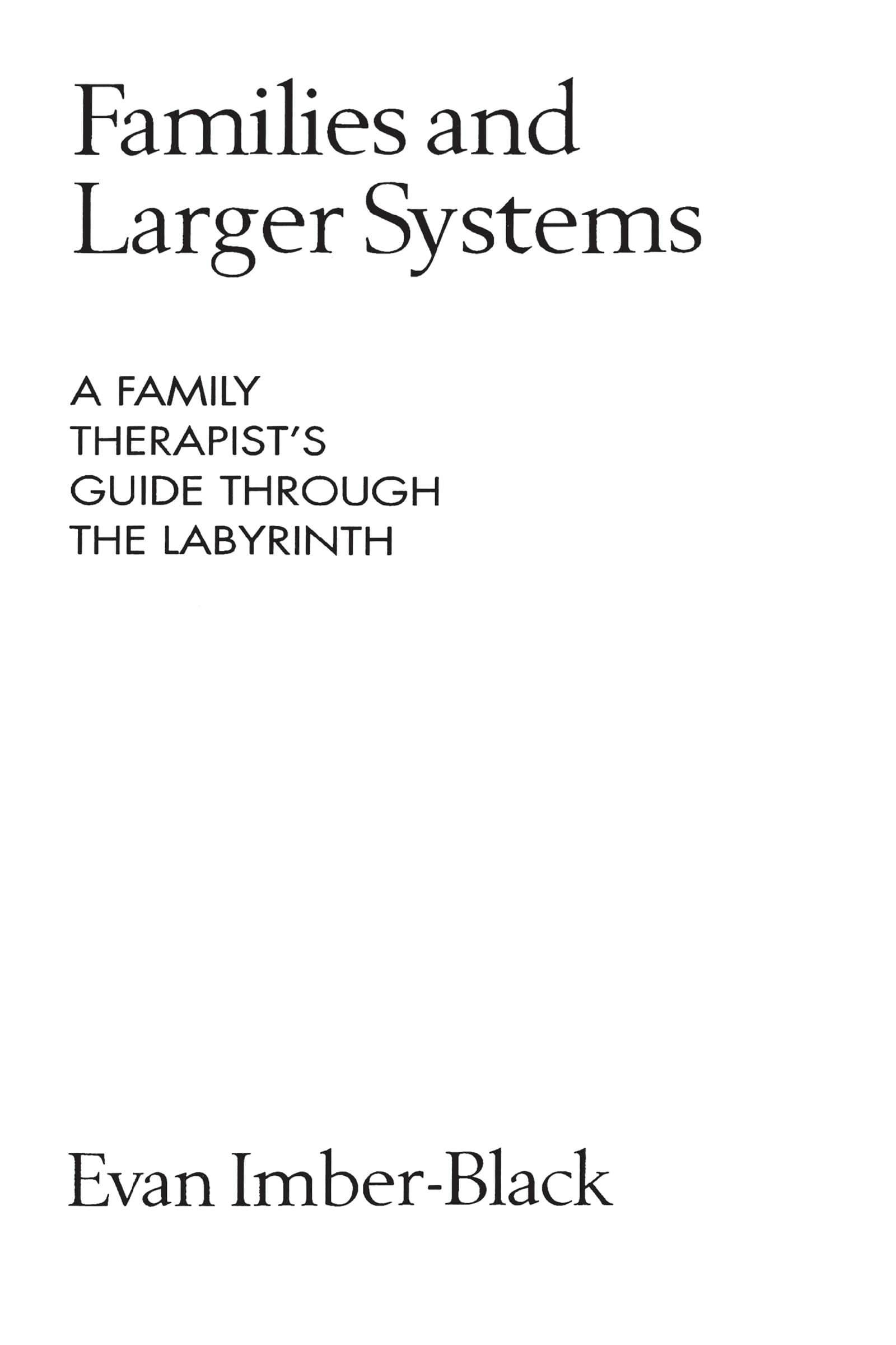 Families and Larger Systems: A Family Therapist's Guide Through The Labyrinth (Guilford Family Therapy Series) Medicine