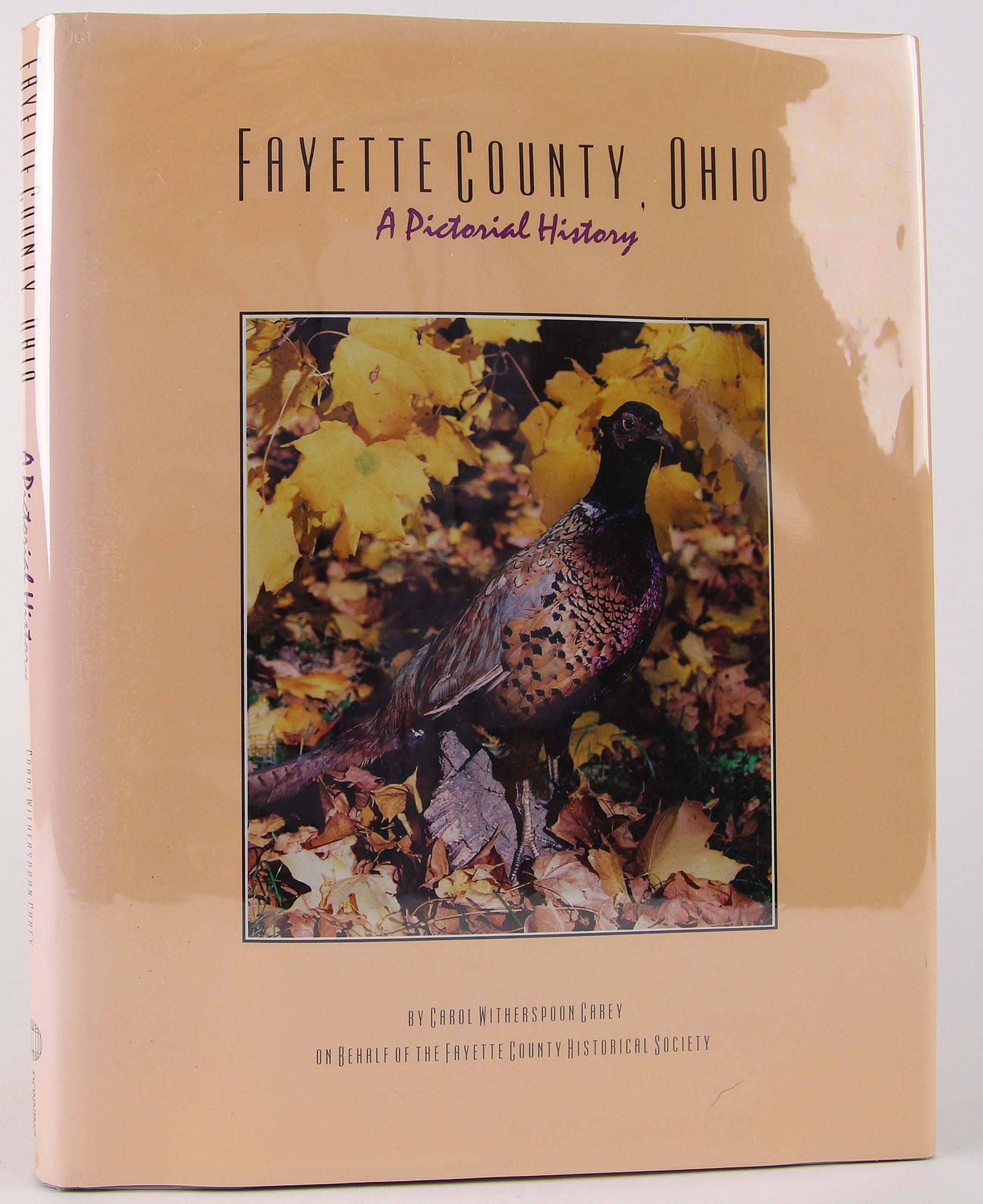 Fayette County, Ohio: A pictorial history book