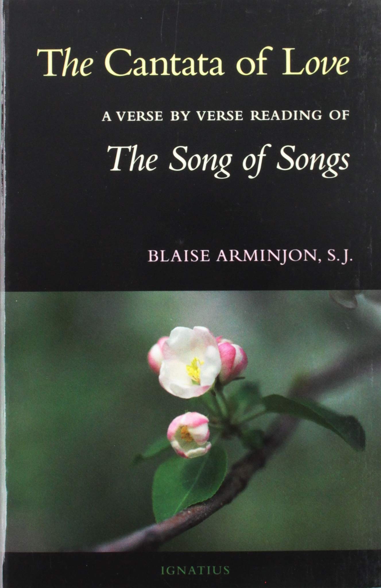 The Cantata of Love: A Verse by Verse Reading of the Song of Songs book