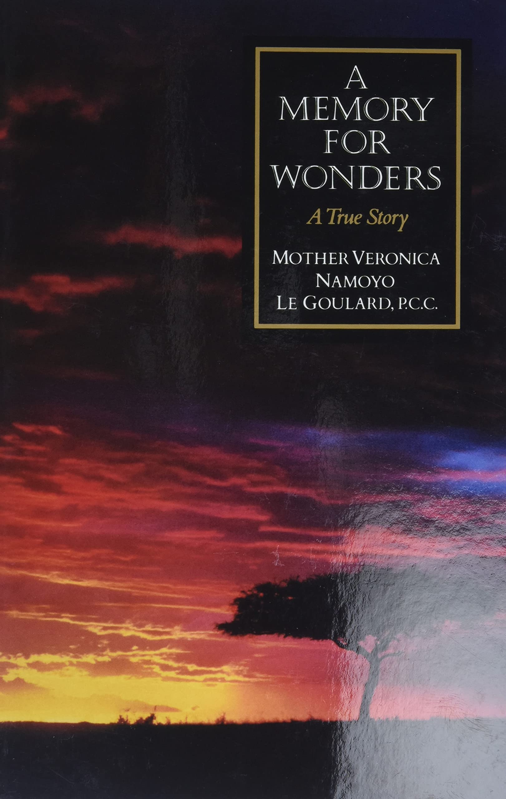 A Memory for Wonders: A True Story Politics & Society
