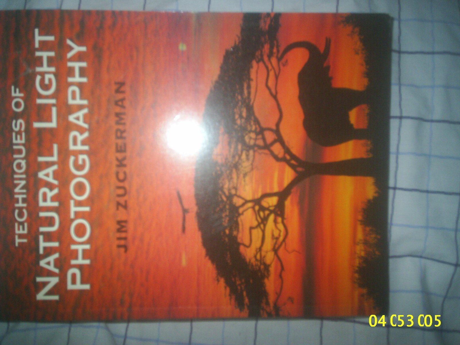 Techniques of Natural Light Photography Photography