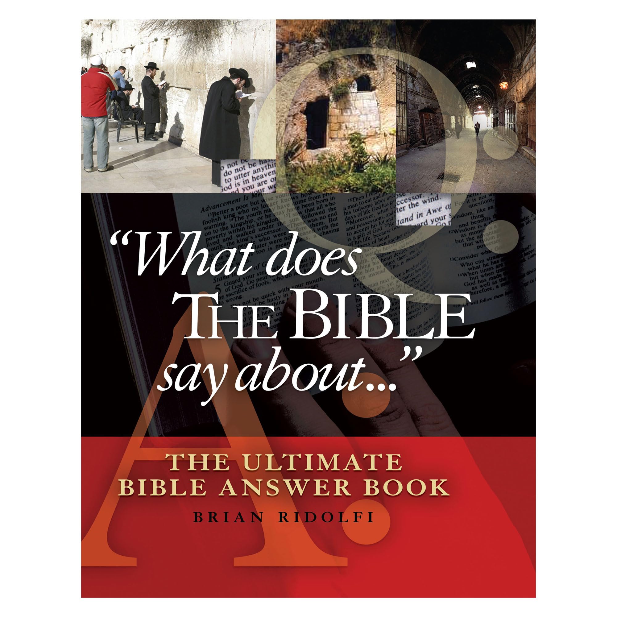 Product Image: What Does the Bible Say about . . .
