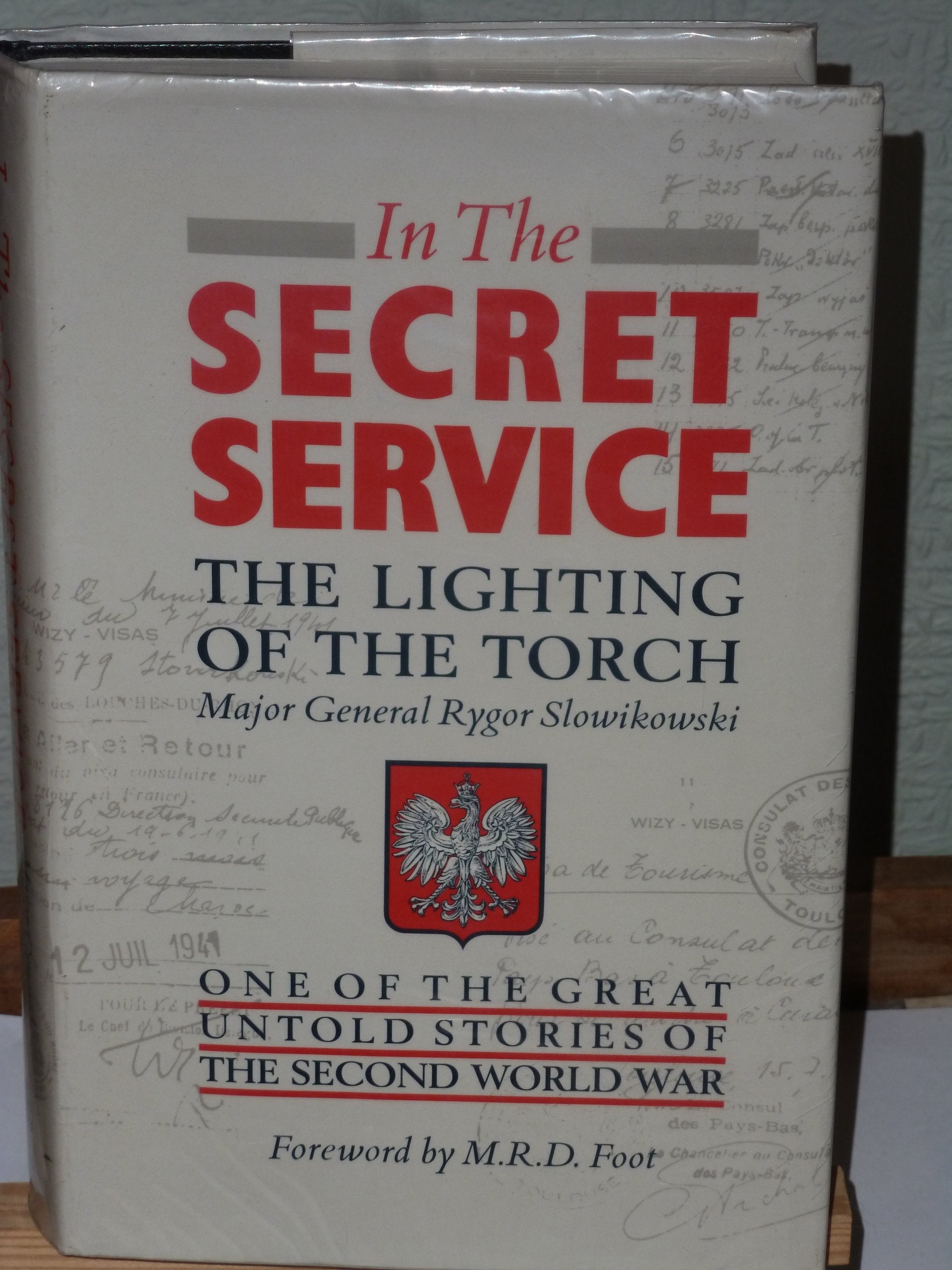In the Secret Service: Lighting the Torch Books