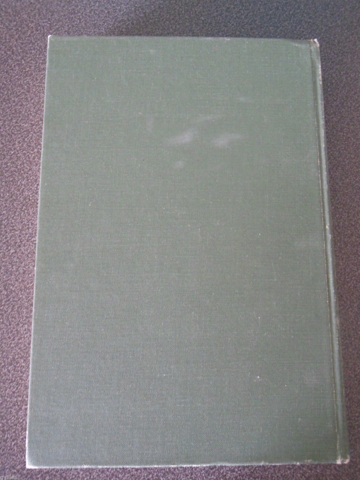 Concise Dictionary of Middle Egyptian (Griffith Institute Publications, Band 0) General education