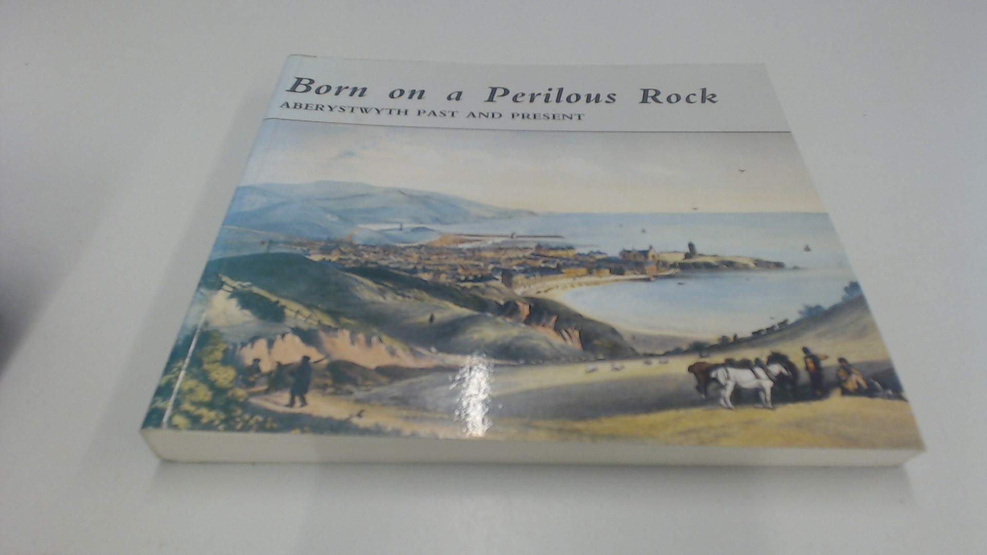 Born on a Perilous Rock - Aberystwyth past and Present Politics & History