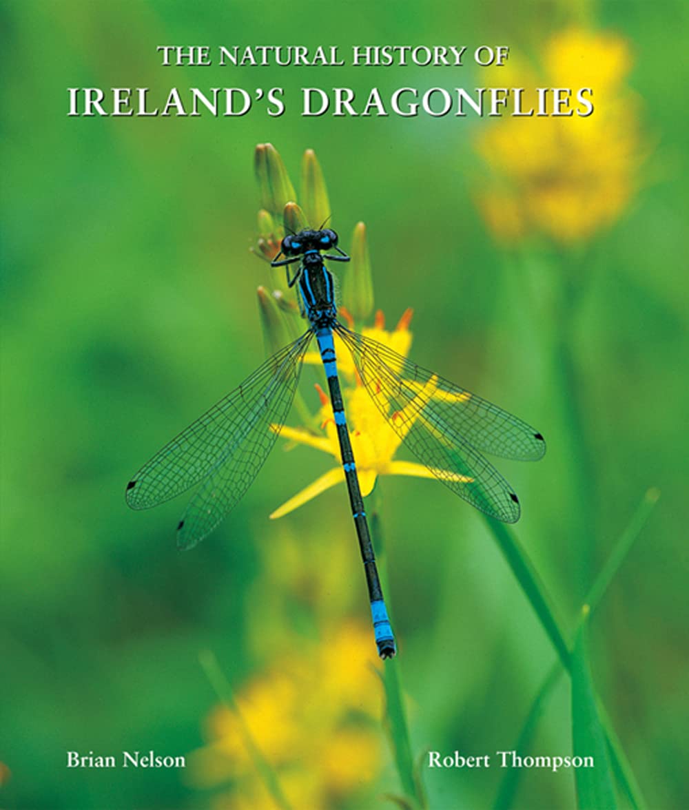 The Natural History of Ireland's Dragonflies Mathematics