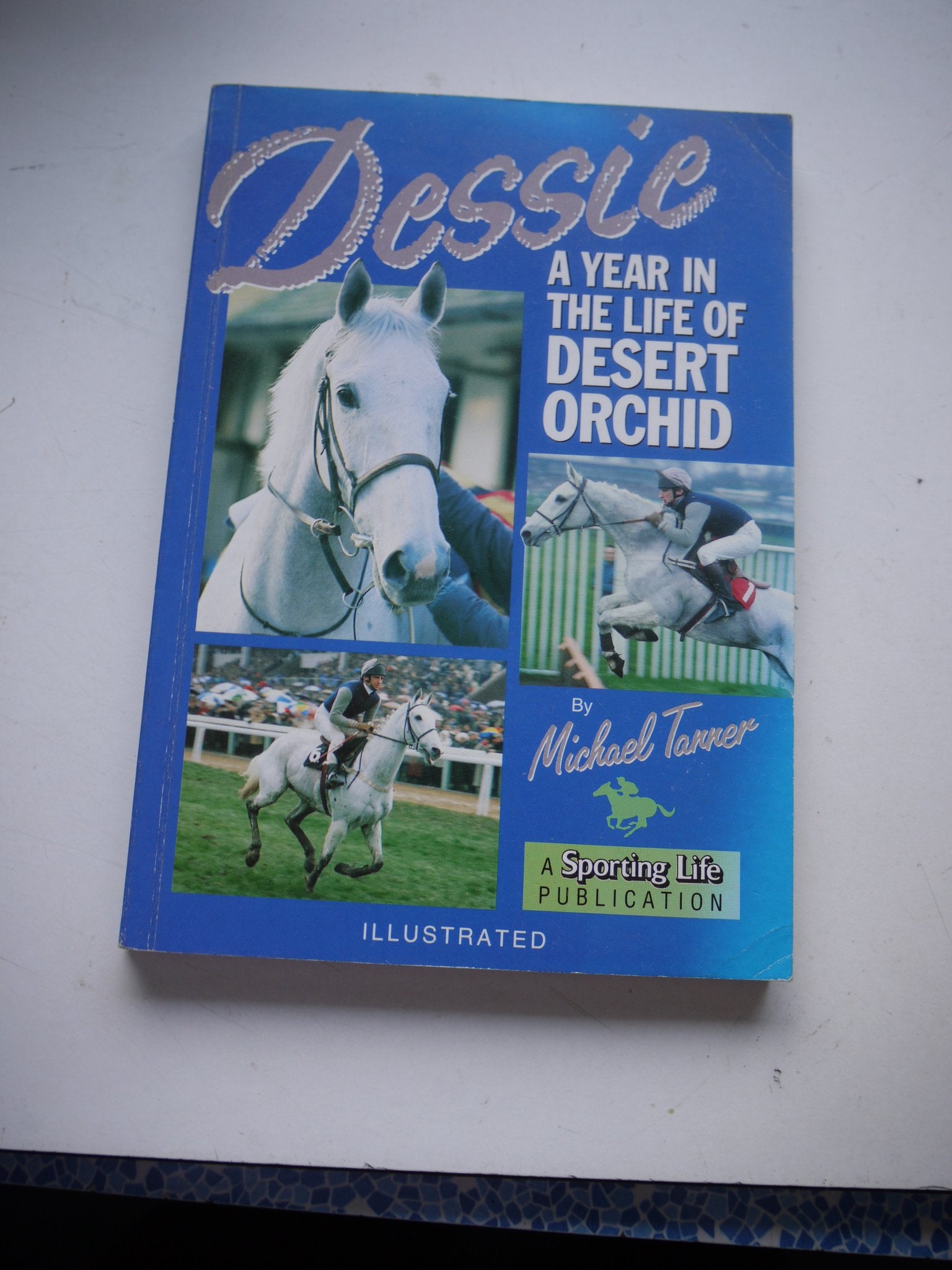 Dessie : a Year in the Life of Desert Orchid Books