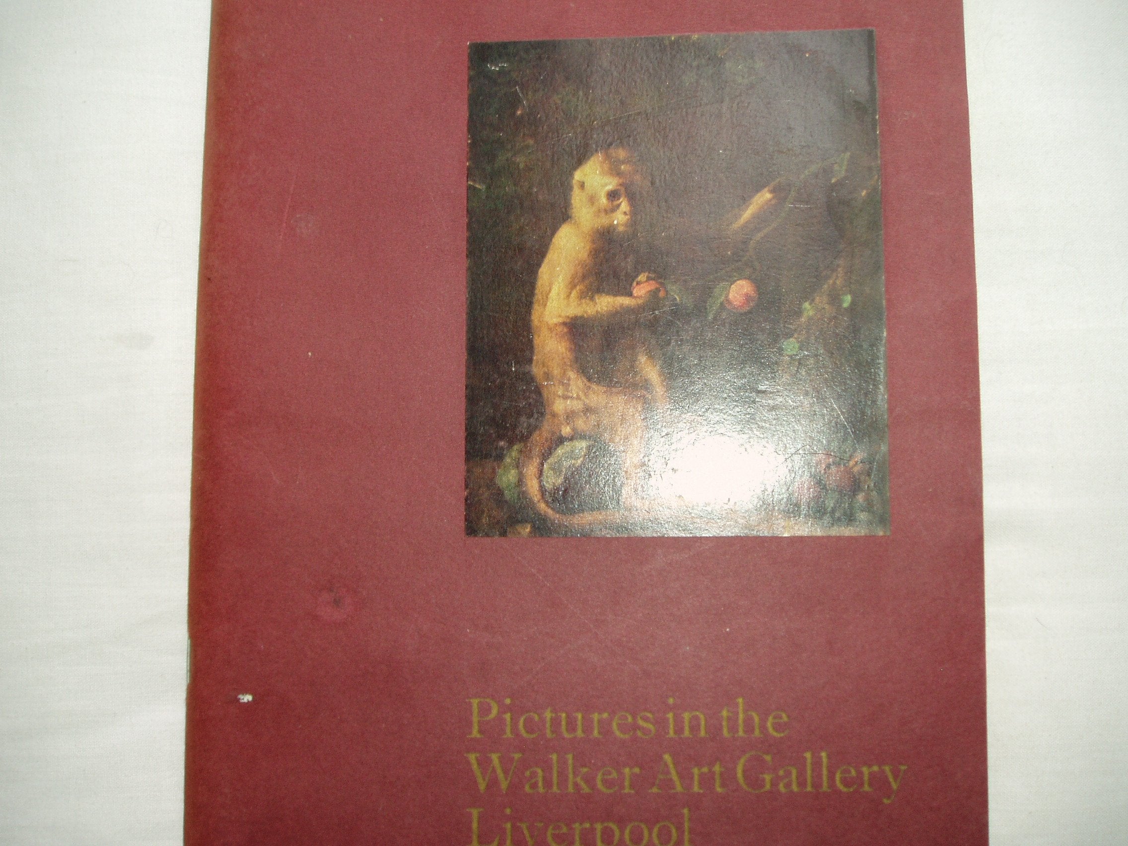 Pictures in the Walker Art Gallery book