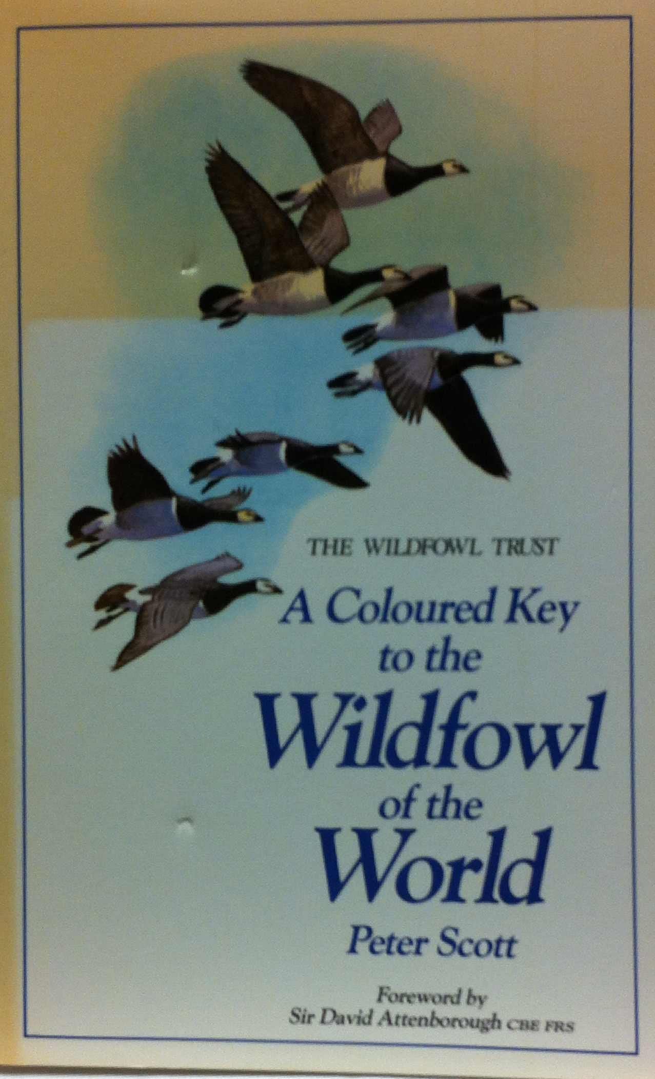 A coloured key to the wildfowl of the world book