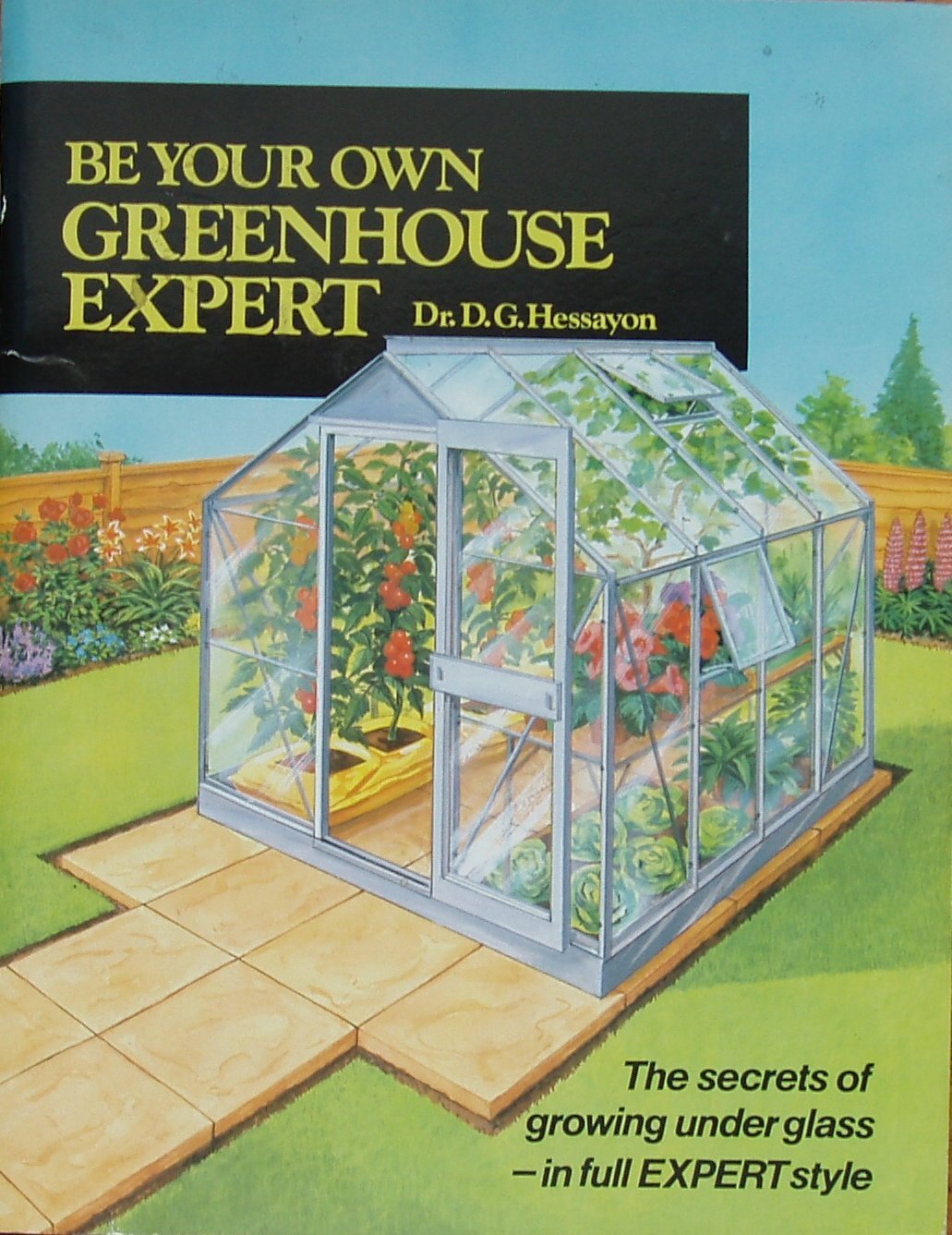 Be Your Own Greenhouse Expert (Expert books) book