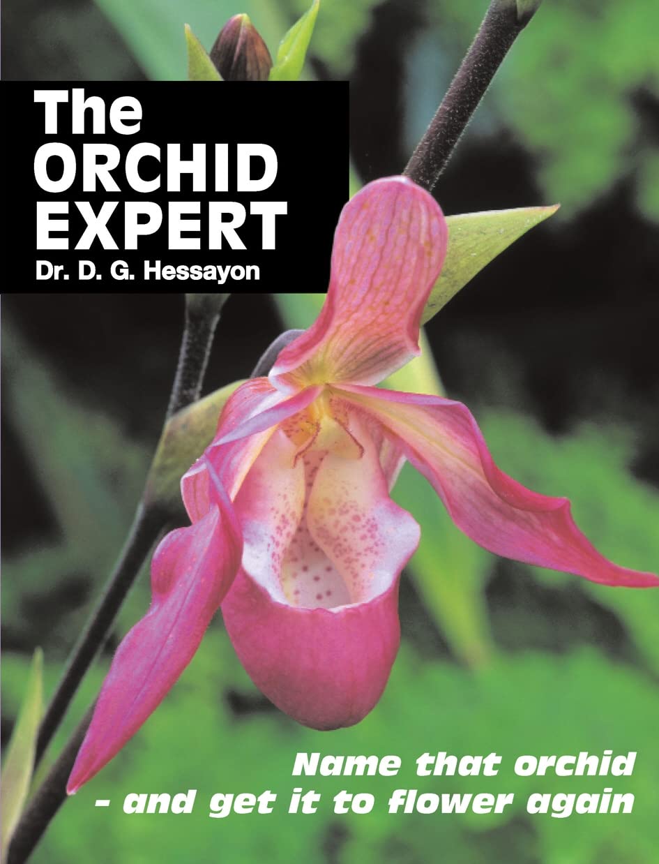 The Orchid Expert: Name that orchid - and get it to flower again Garden & Plants
