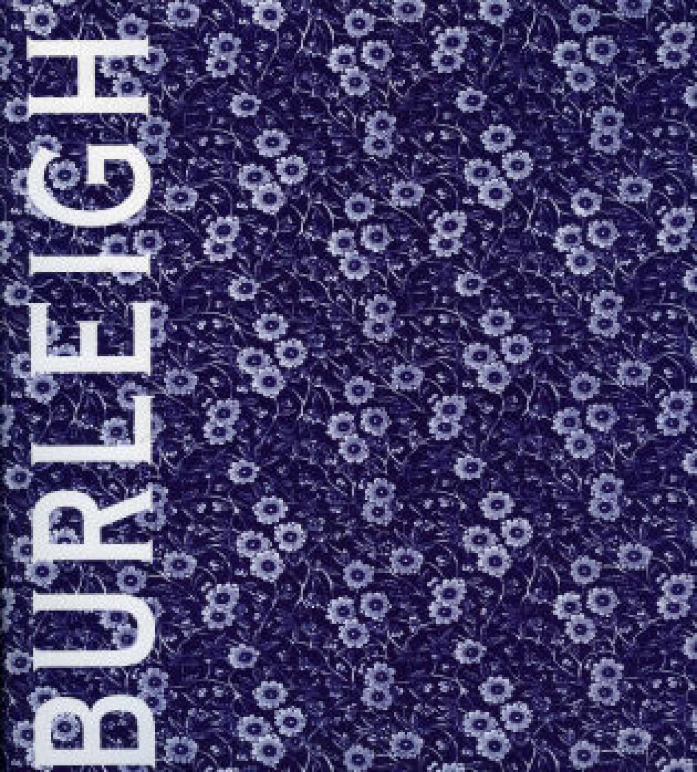 Burleigh: The Story of a Pottery Hobbies & Crafts