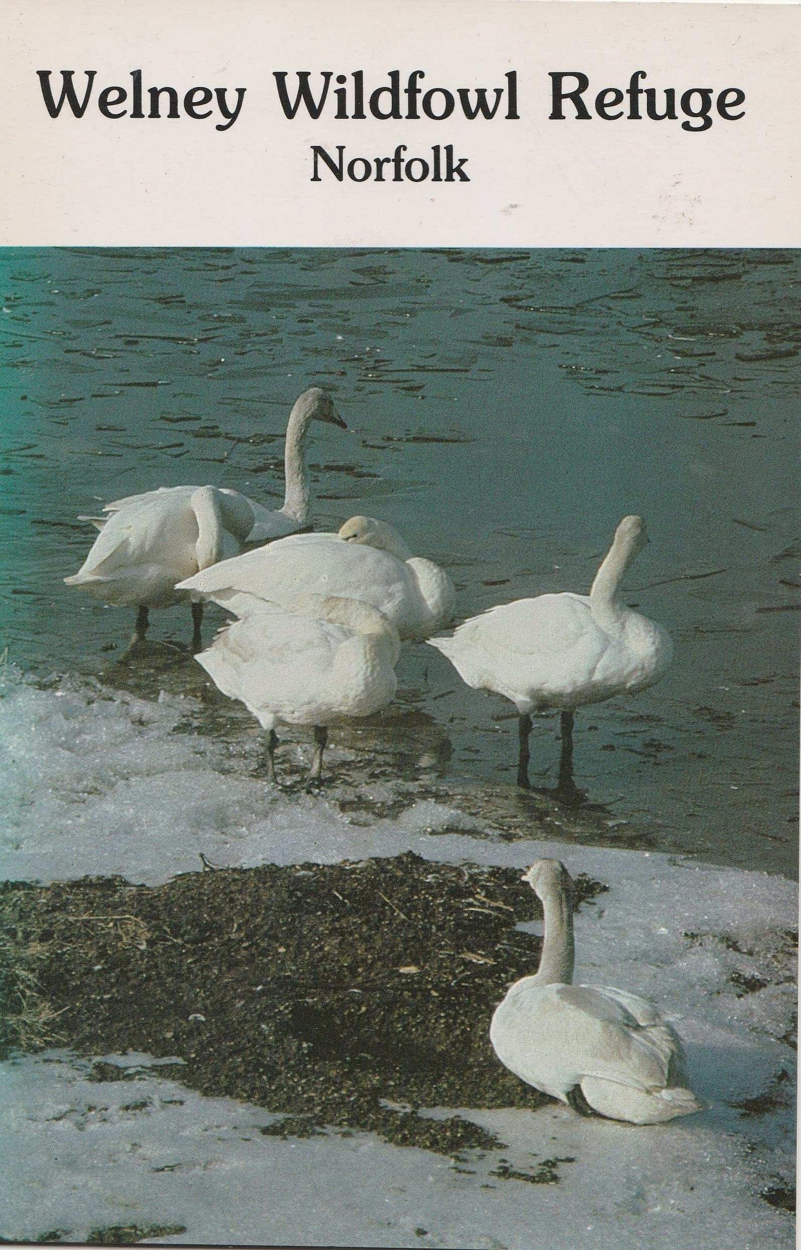 Welney Wildfowl Refuge, Norfolk book
