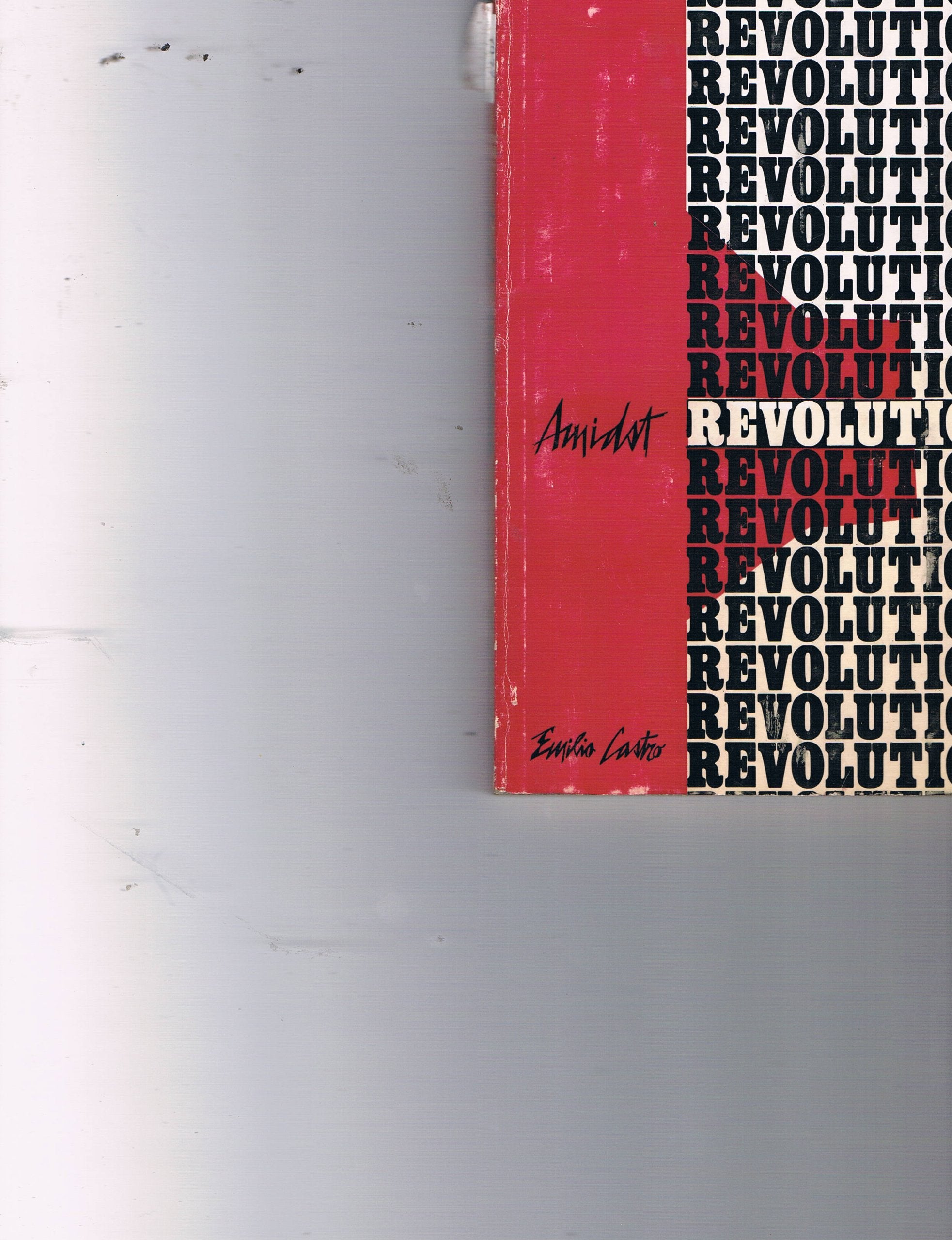 Amidst Revolution Books