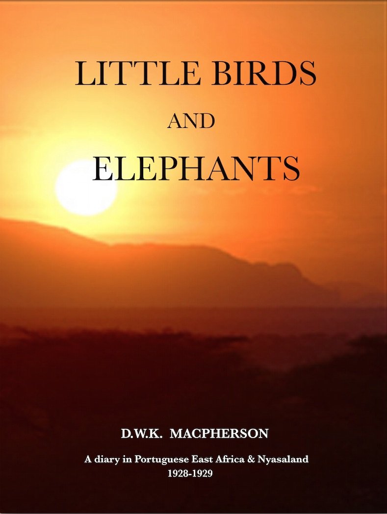 Little Birds and Elephants: The Diary and Short Stories of David Macpherson's Wanderings in Portuguese East Africa and Nyasaland 1928-1929 Mathematics