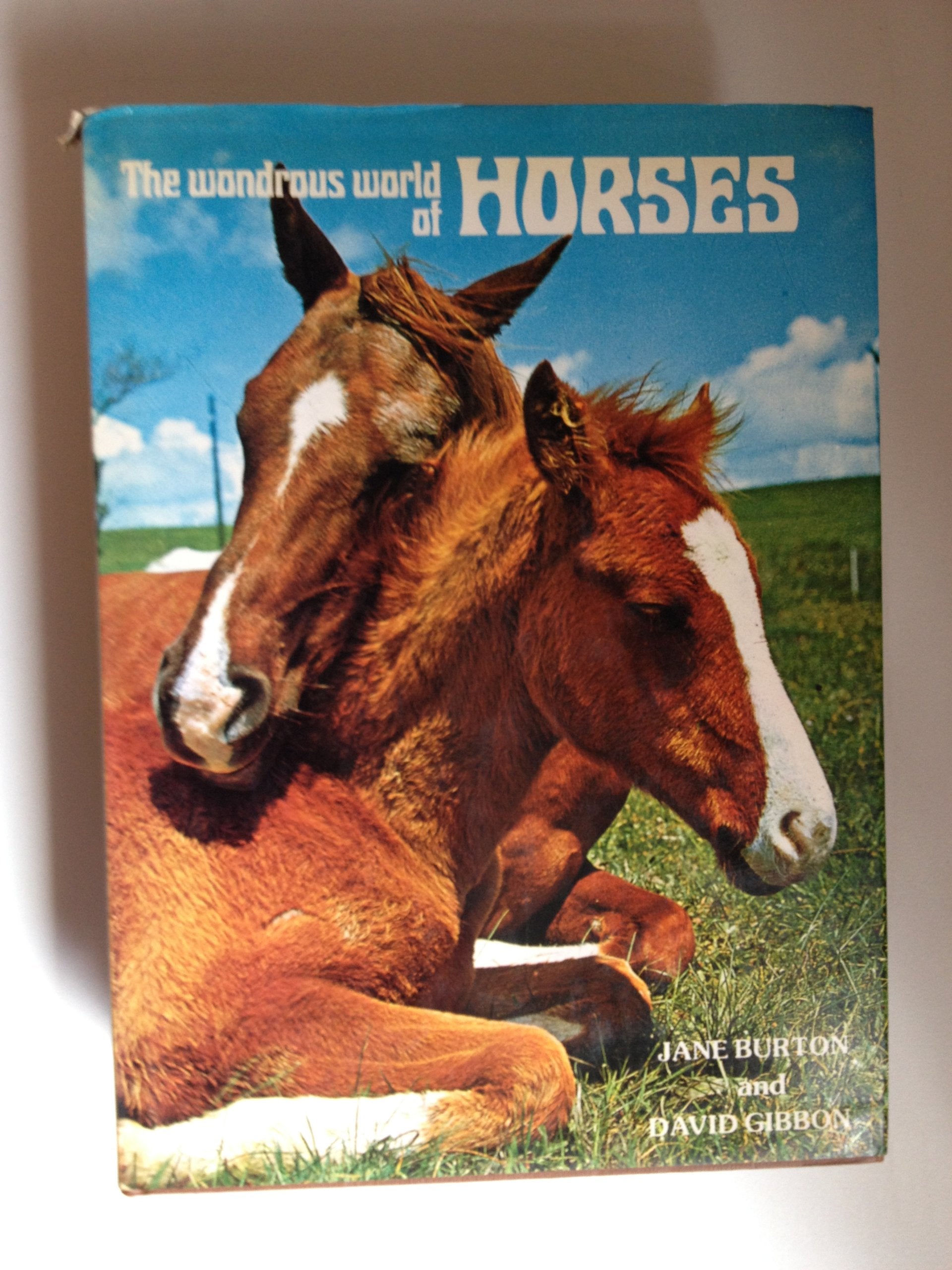 The Wondrous World of Horses book