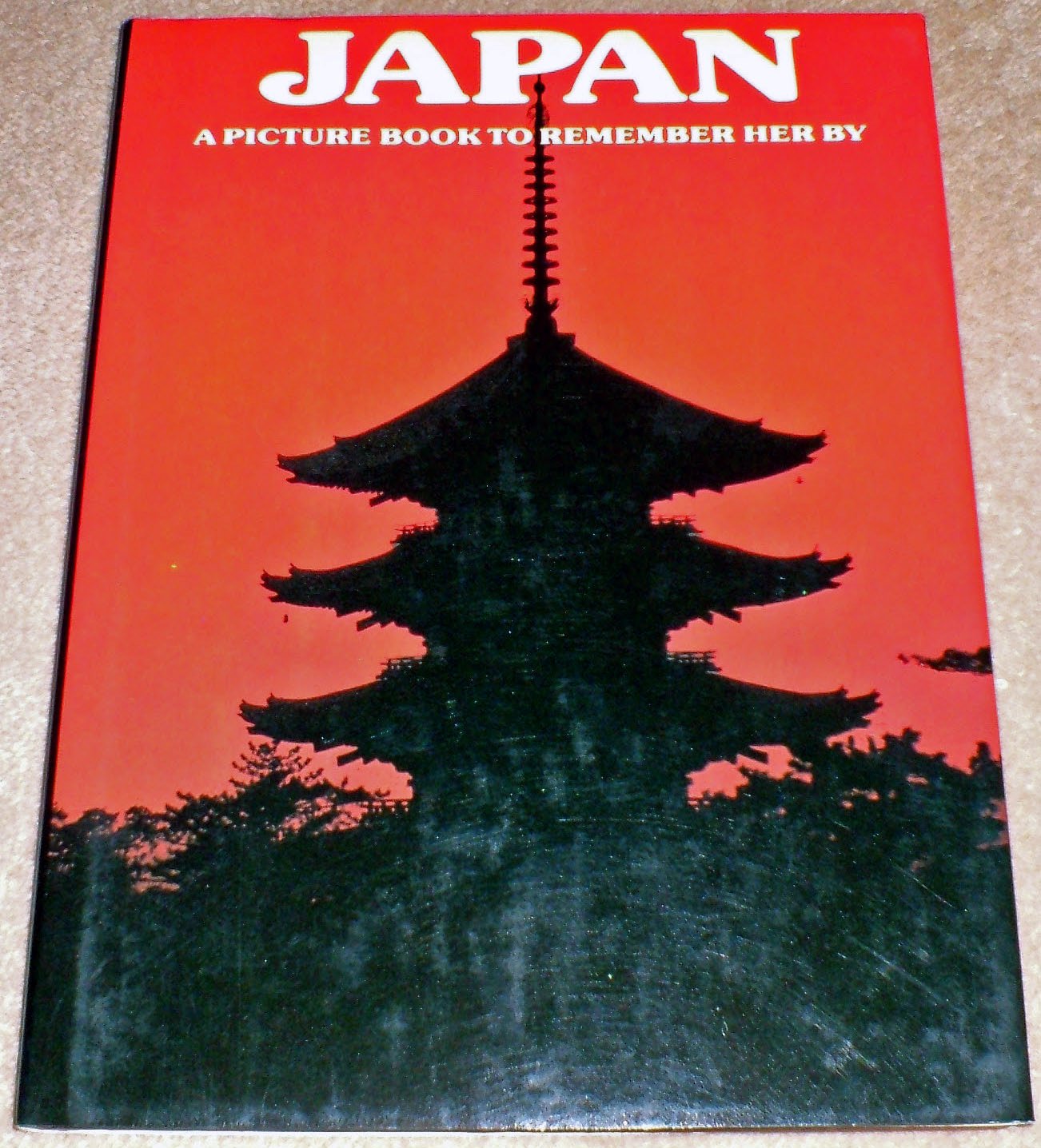 Japan: A Picture Book to Remember Her by Books